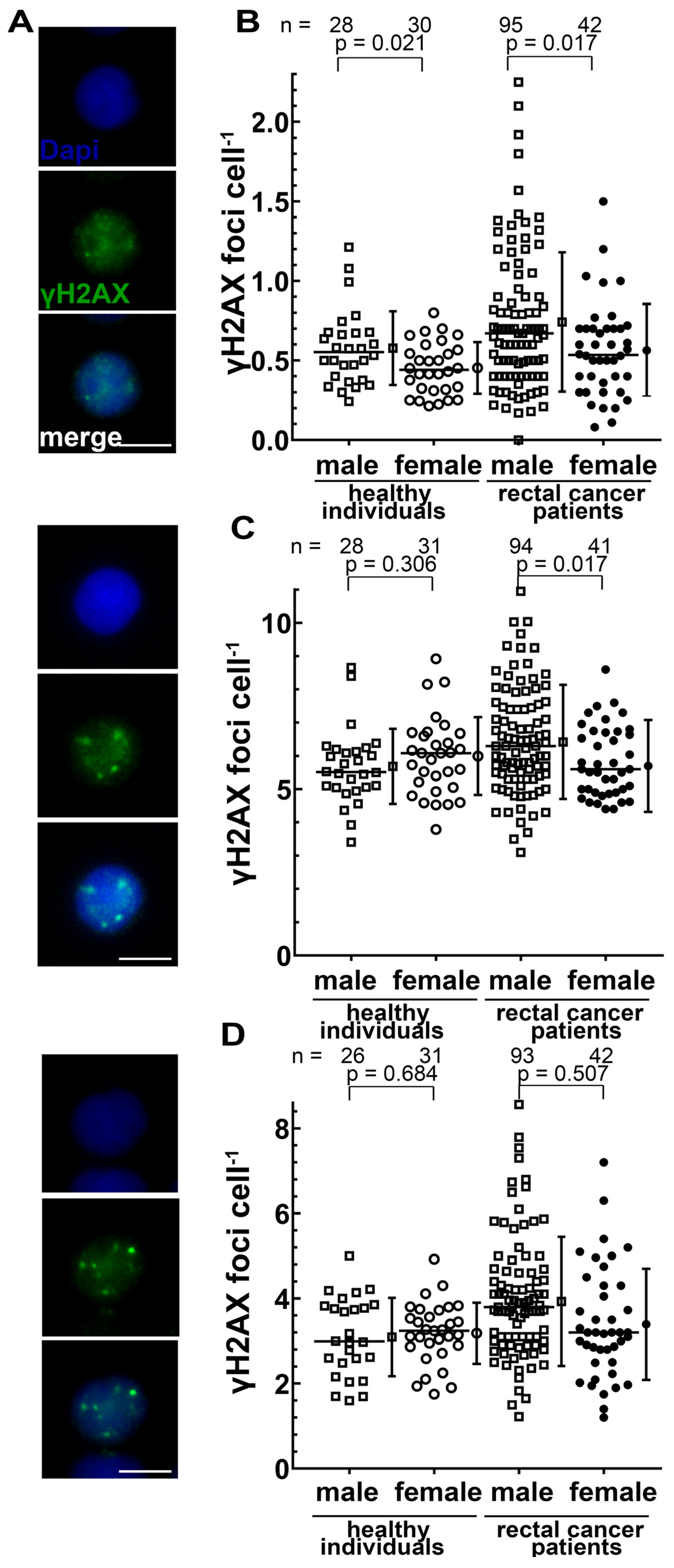 Cancers 14 00148 g004