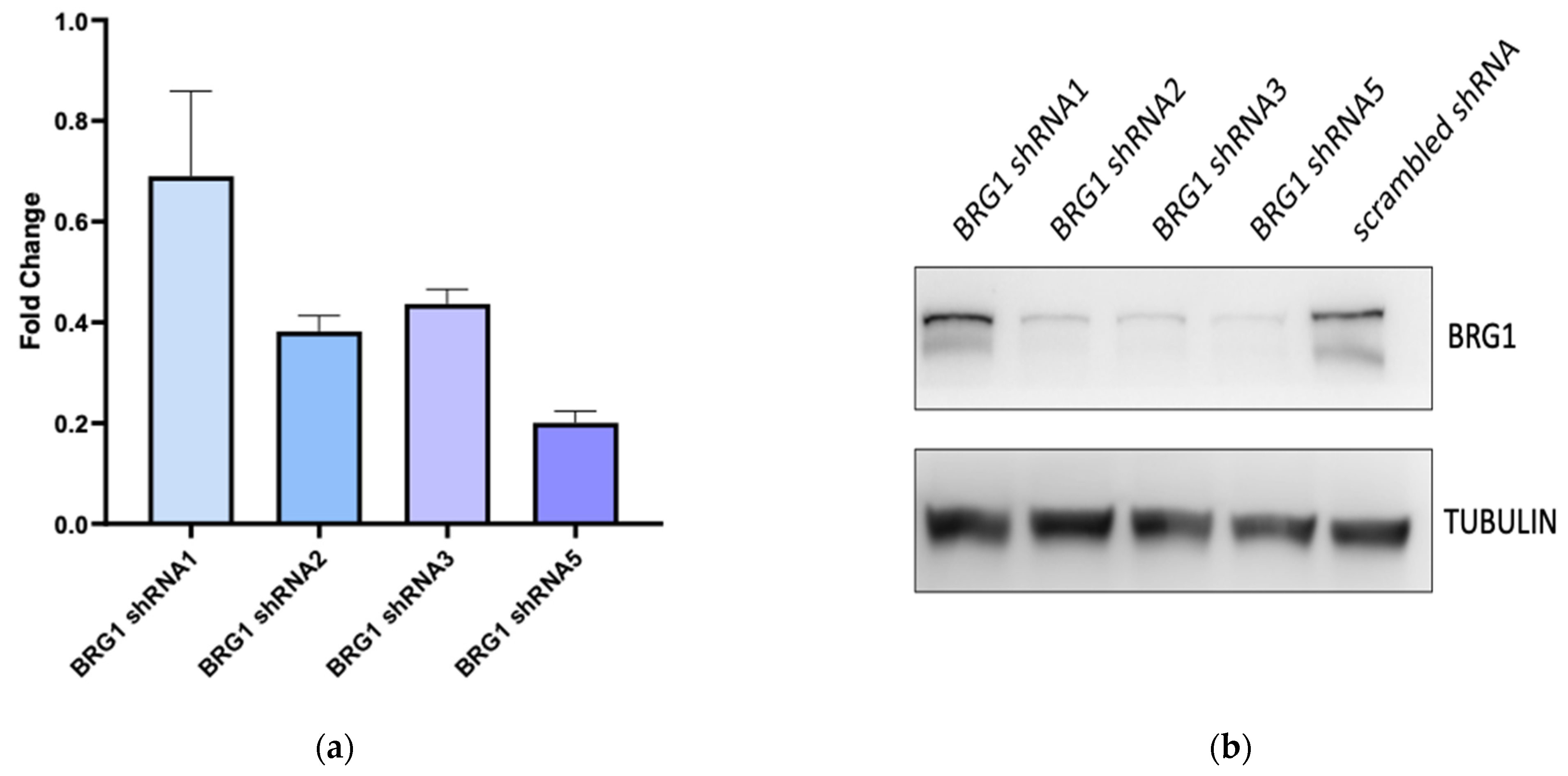 Cancers 14 00151 g004a Cancers 14 00151 g004a
