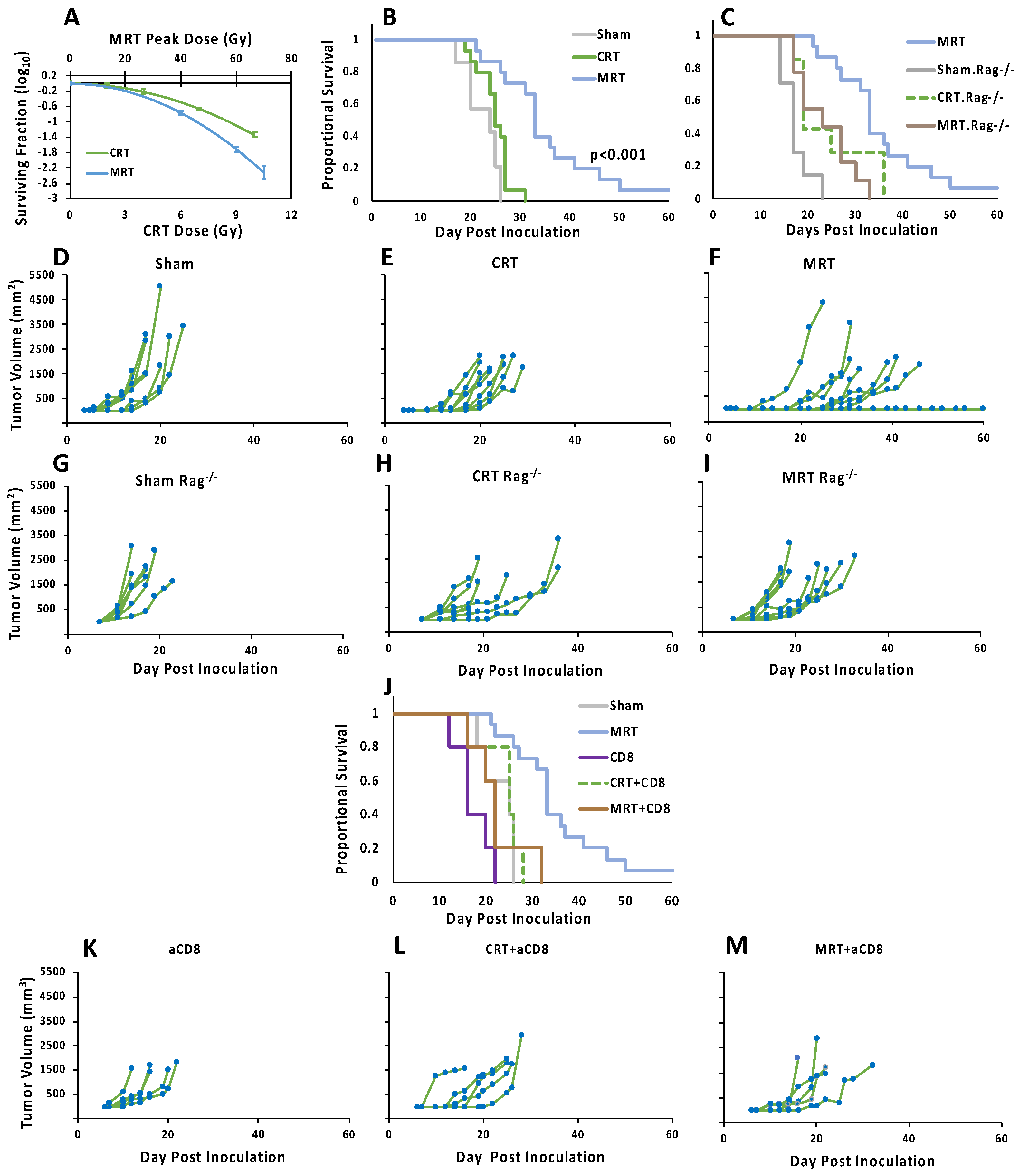 Cancers 14 00155 g003