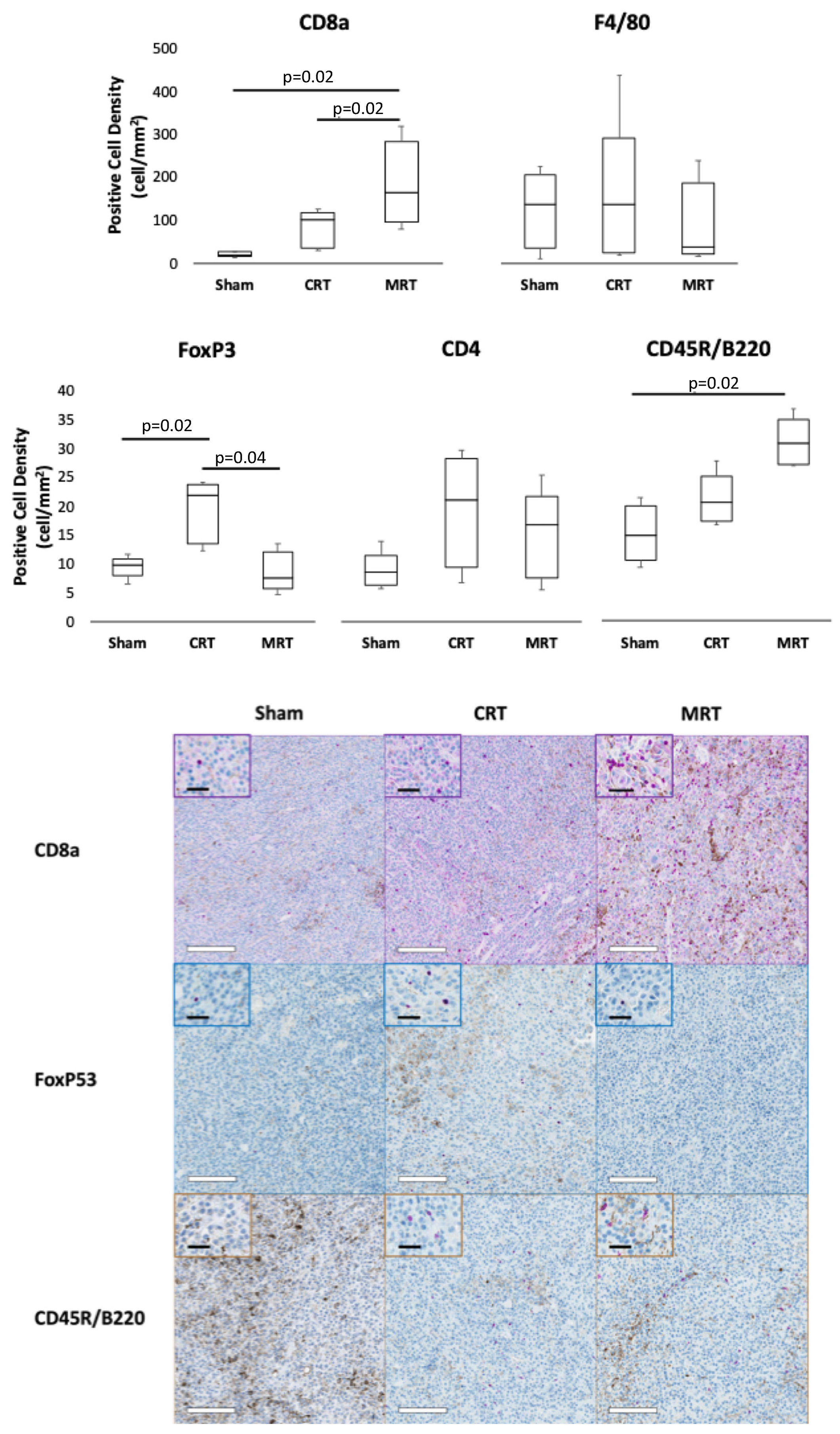 Cancers 14 00155 g004