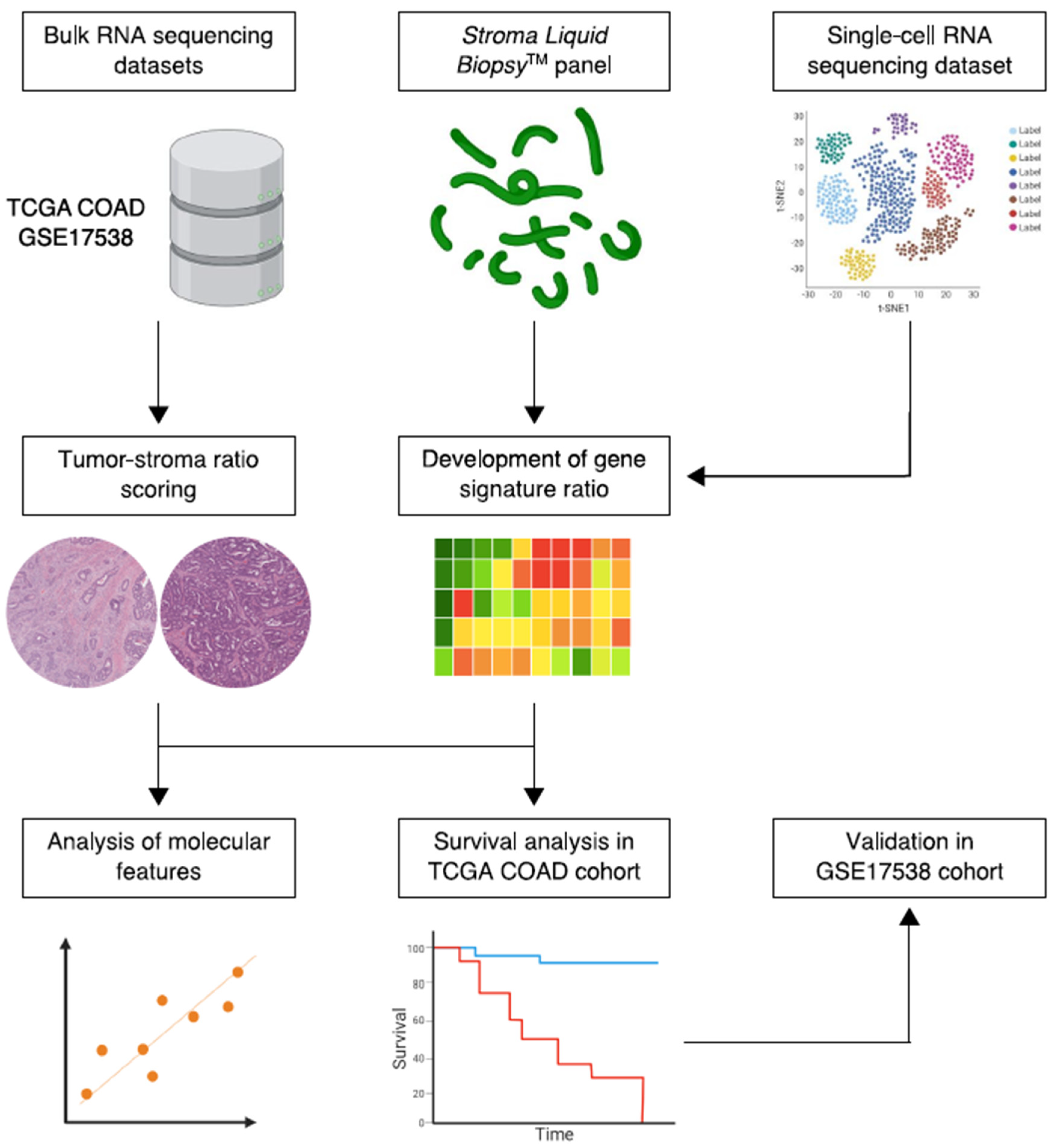 Cancers 14 00163 g001