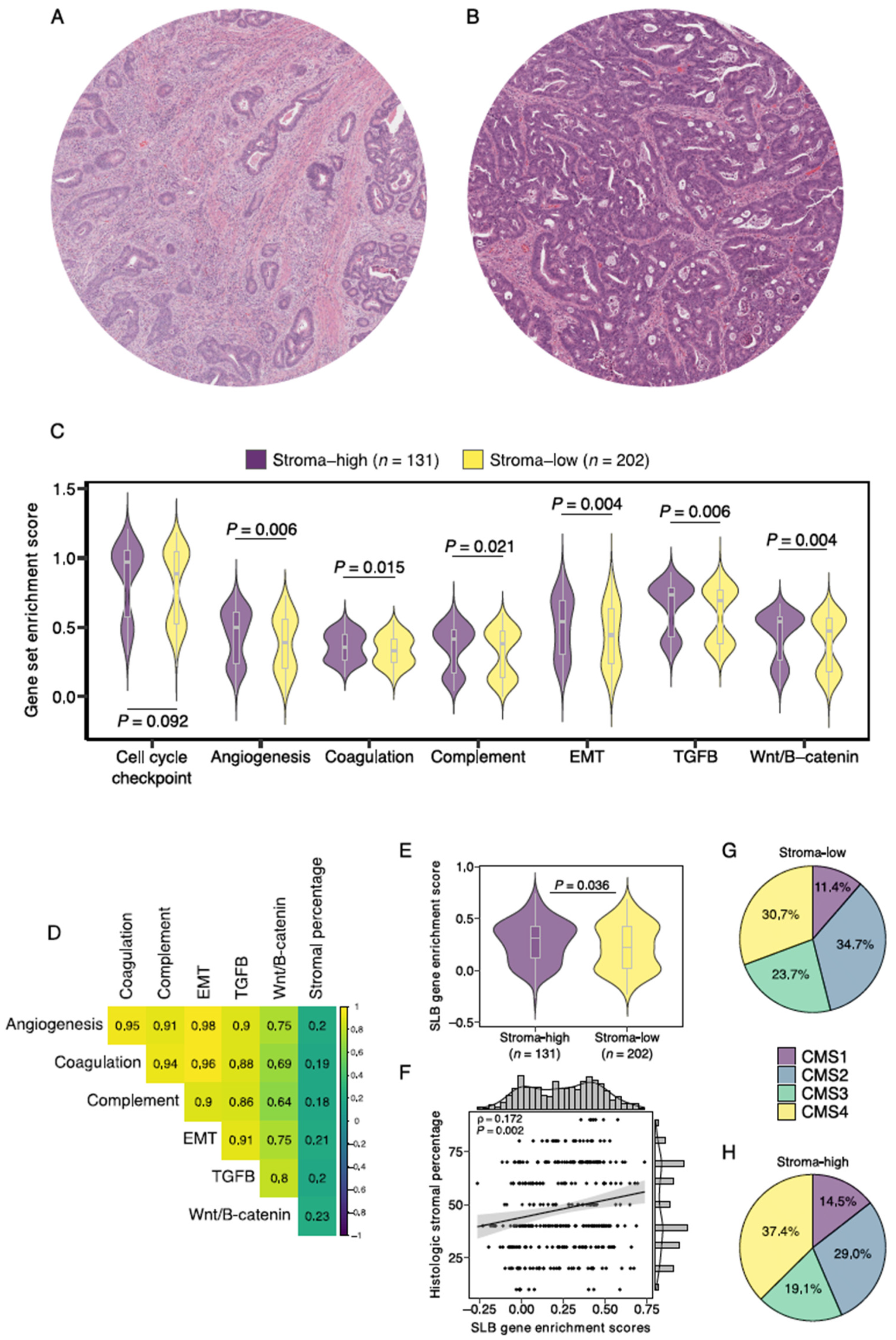 Cancers 14 00163 g003