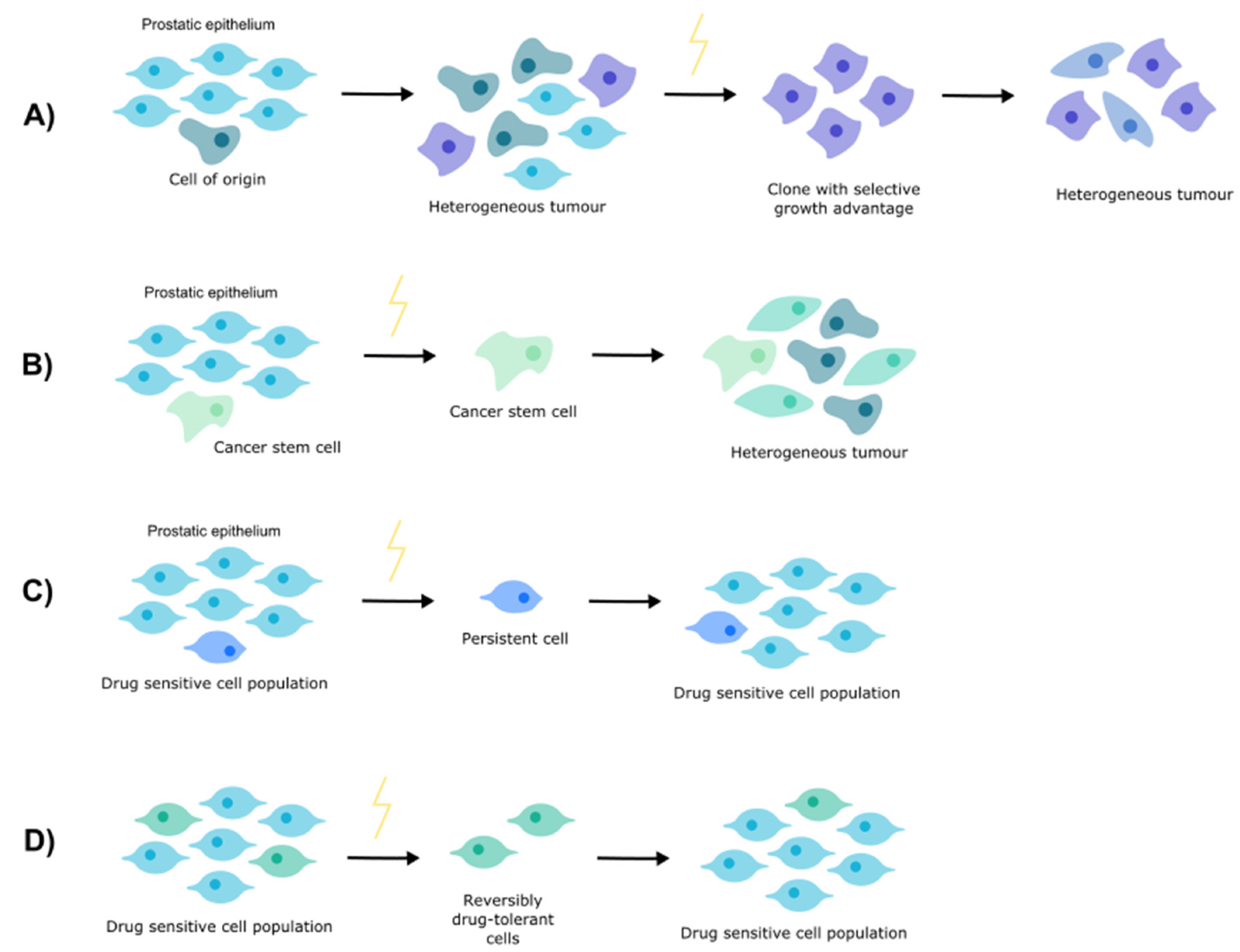 Cancers 14 00166 g001 Cancers 14 00166 g001