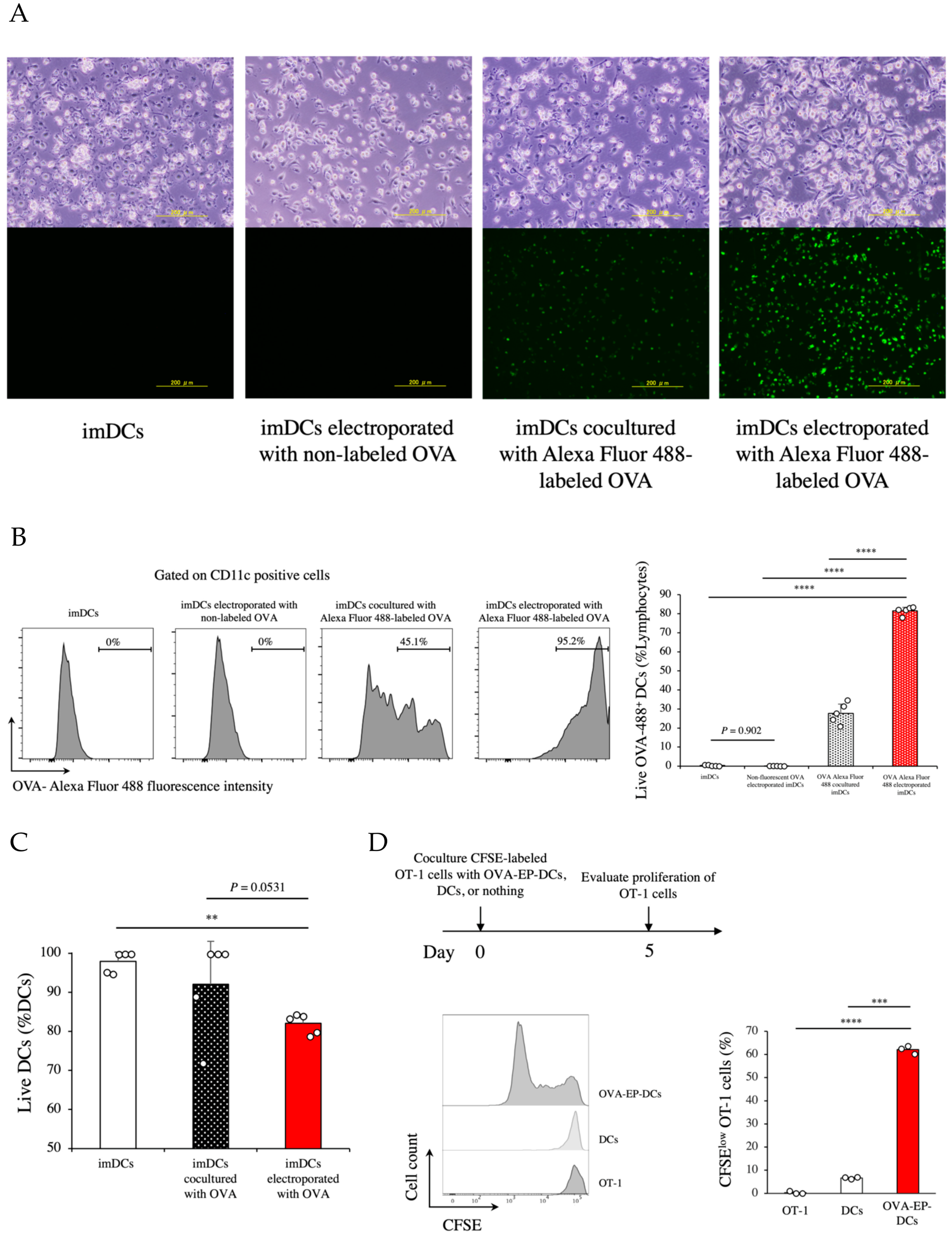 Cancers 14 00171 g001