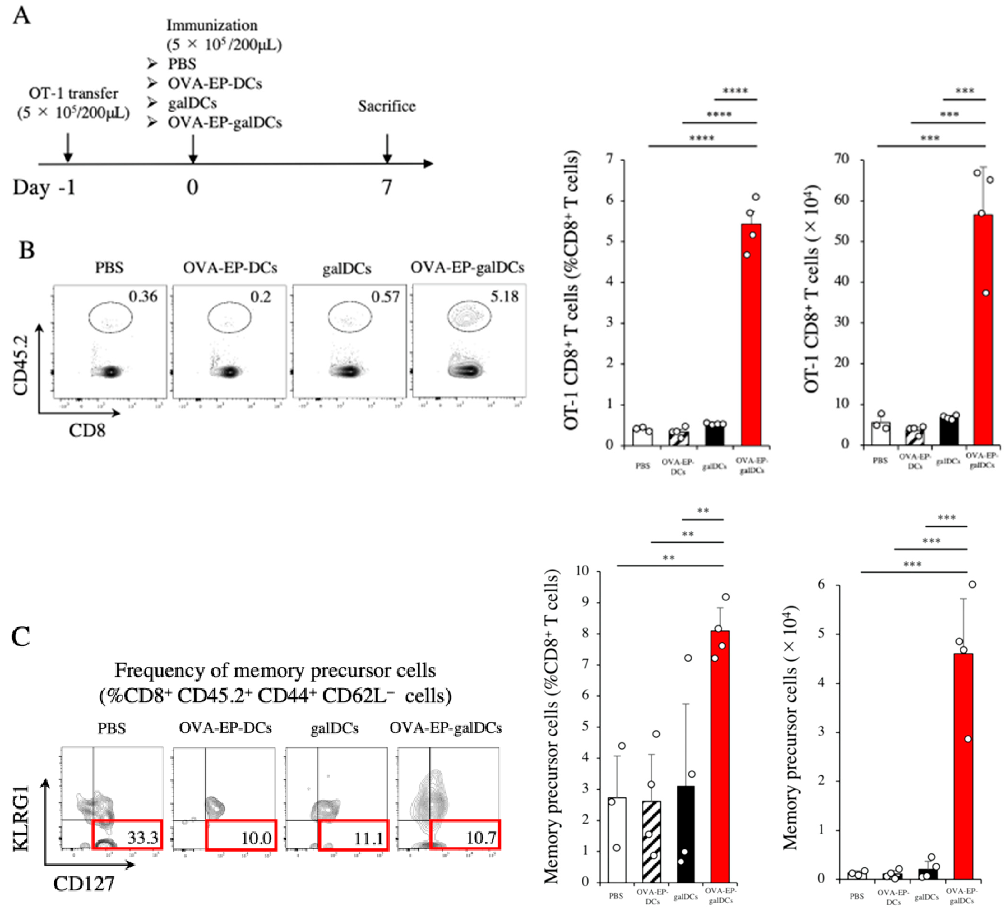 Cancers 14 00171 g004