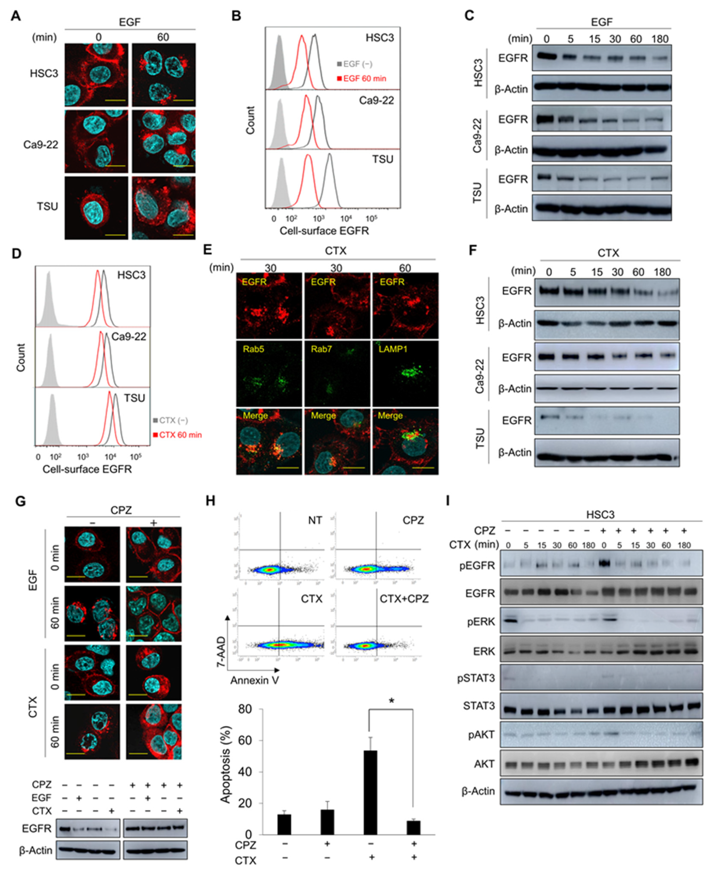 Cancers 14 00173 g001