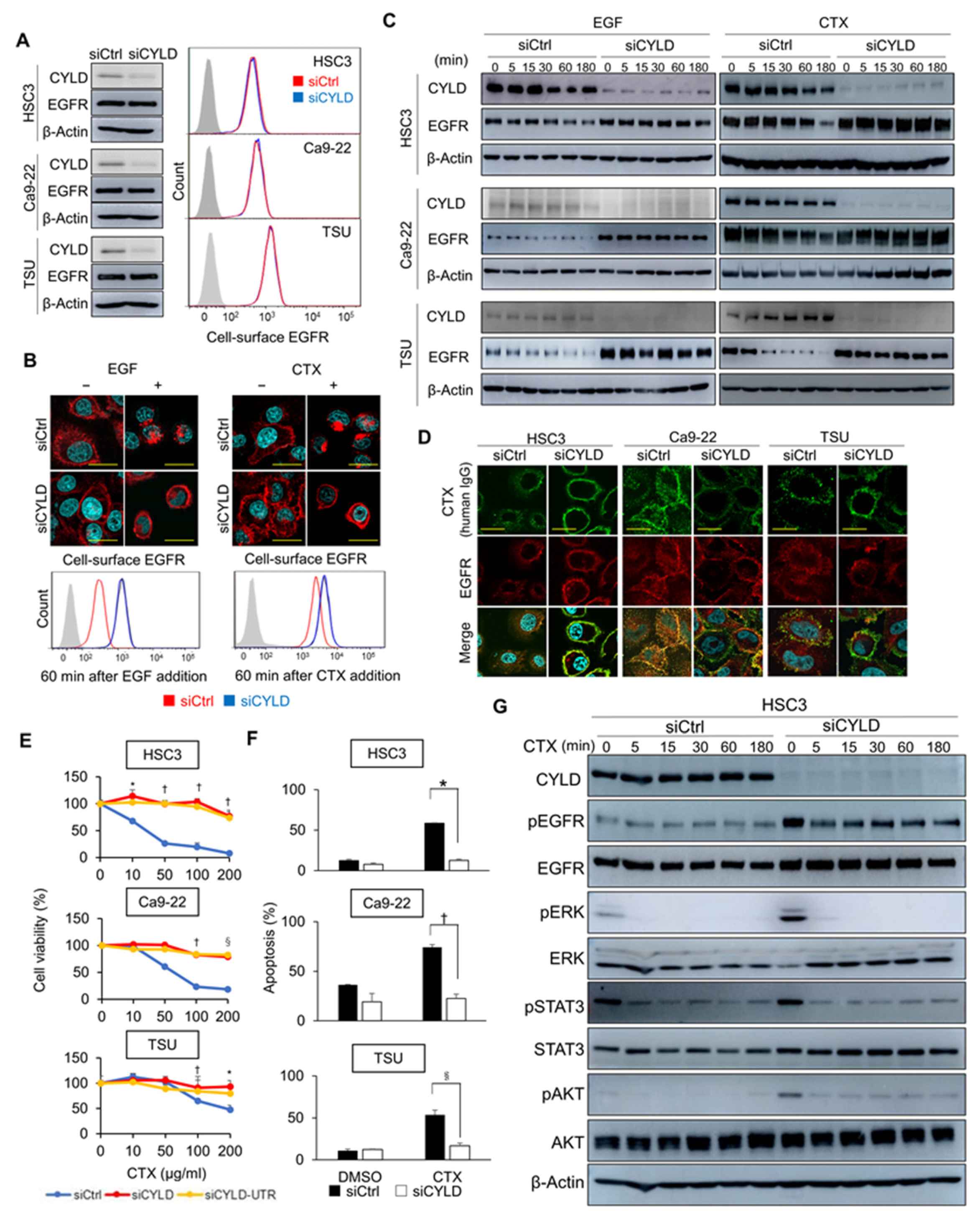 Cancers 14 00173 g002