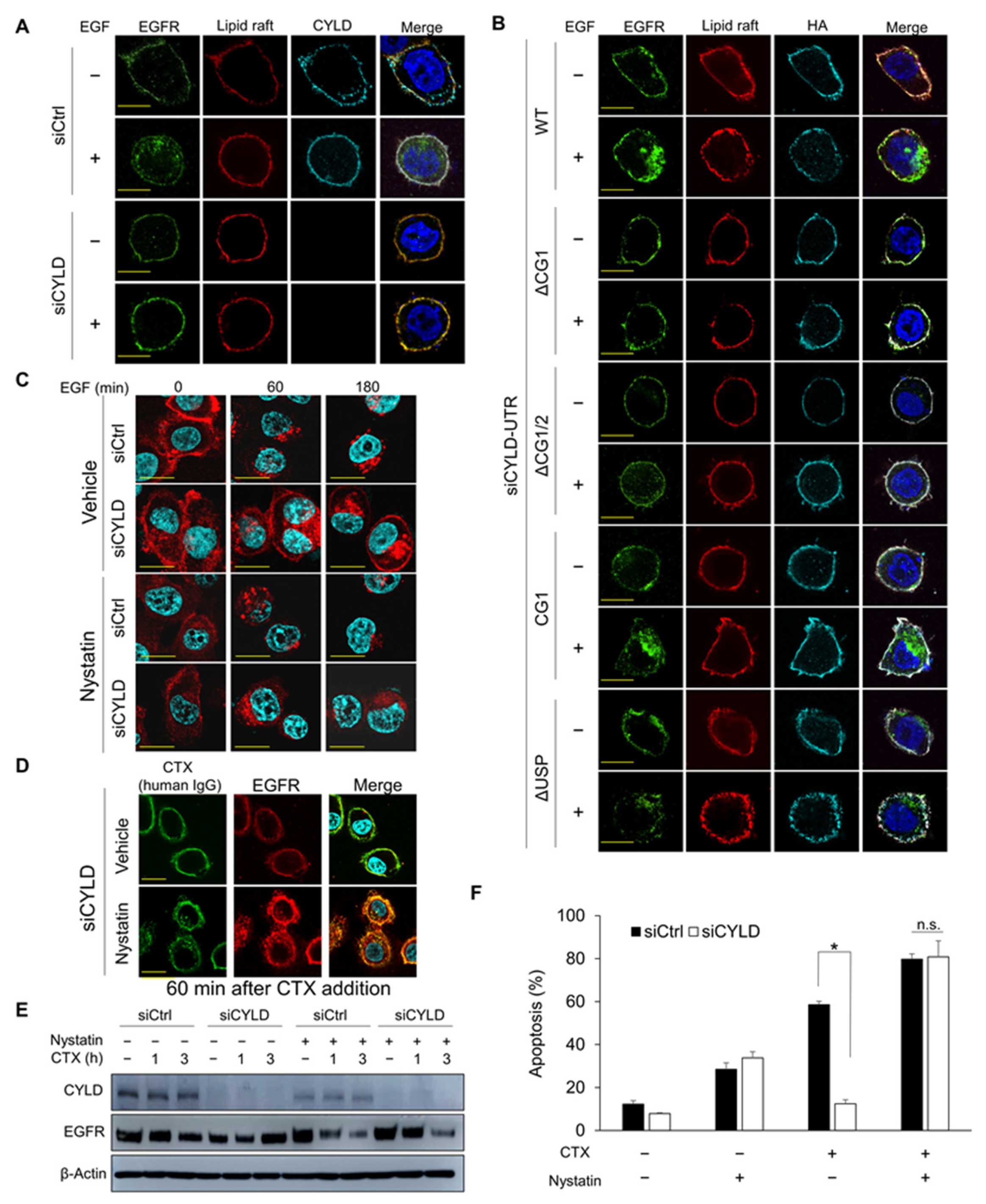 Cancers 14 00173 g005