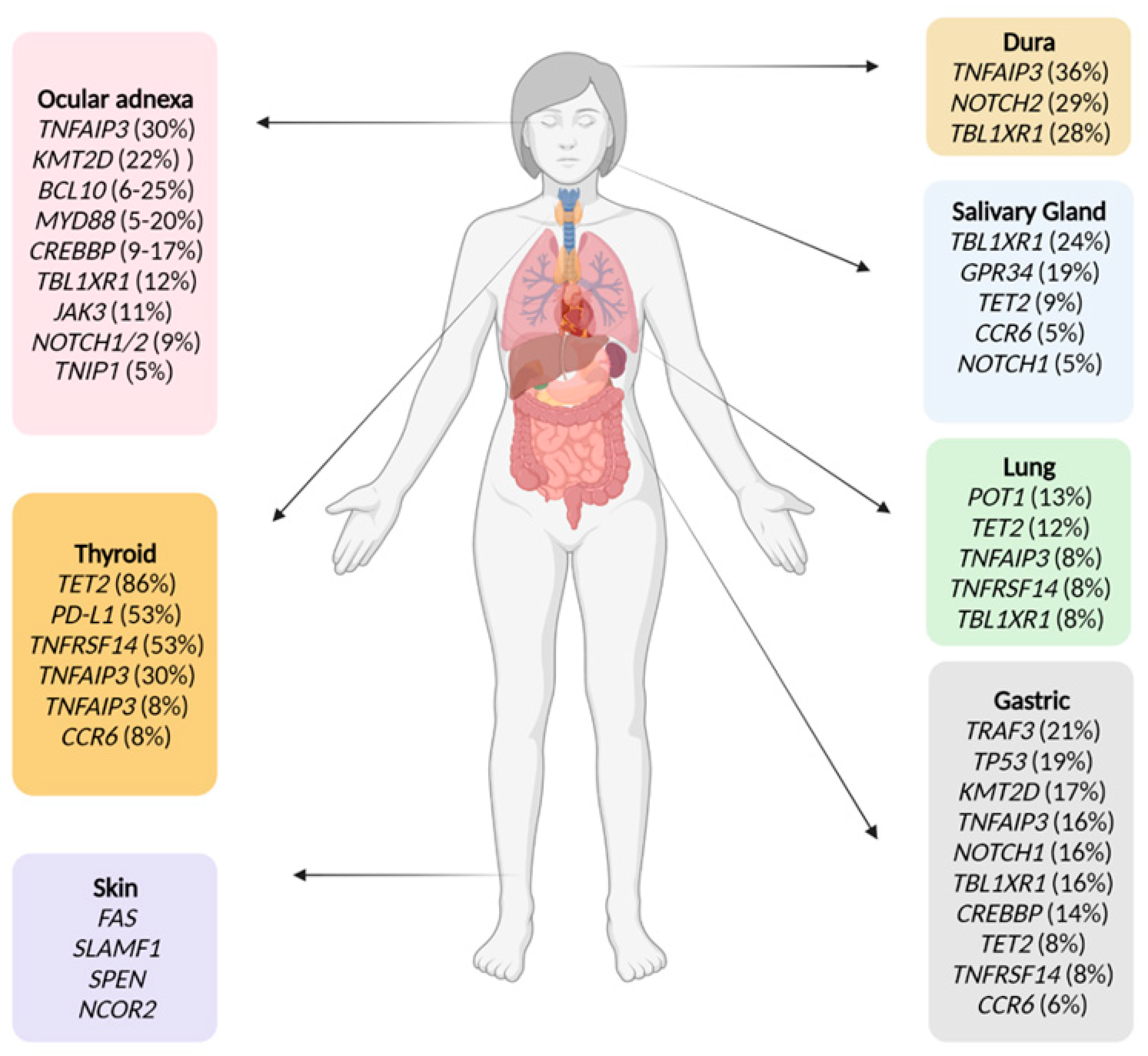 Cancers 14 00176 g001 Cancers 14 00176 g001