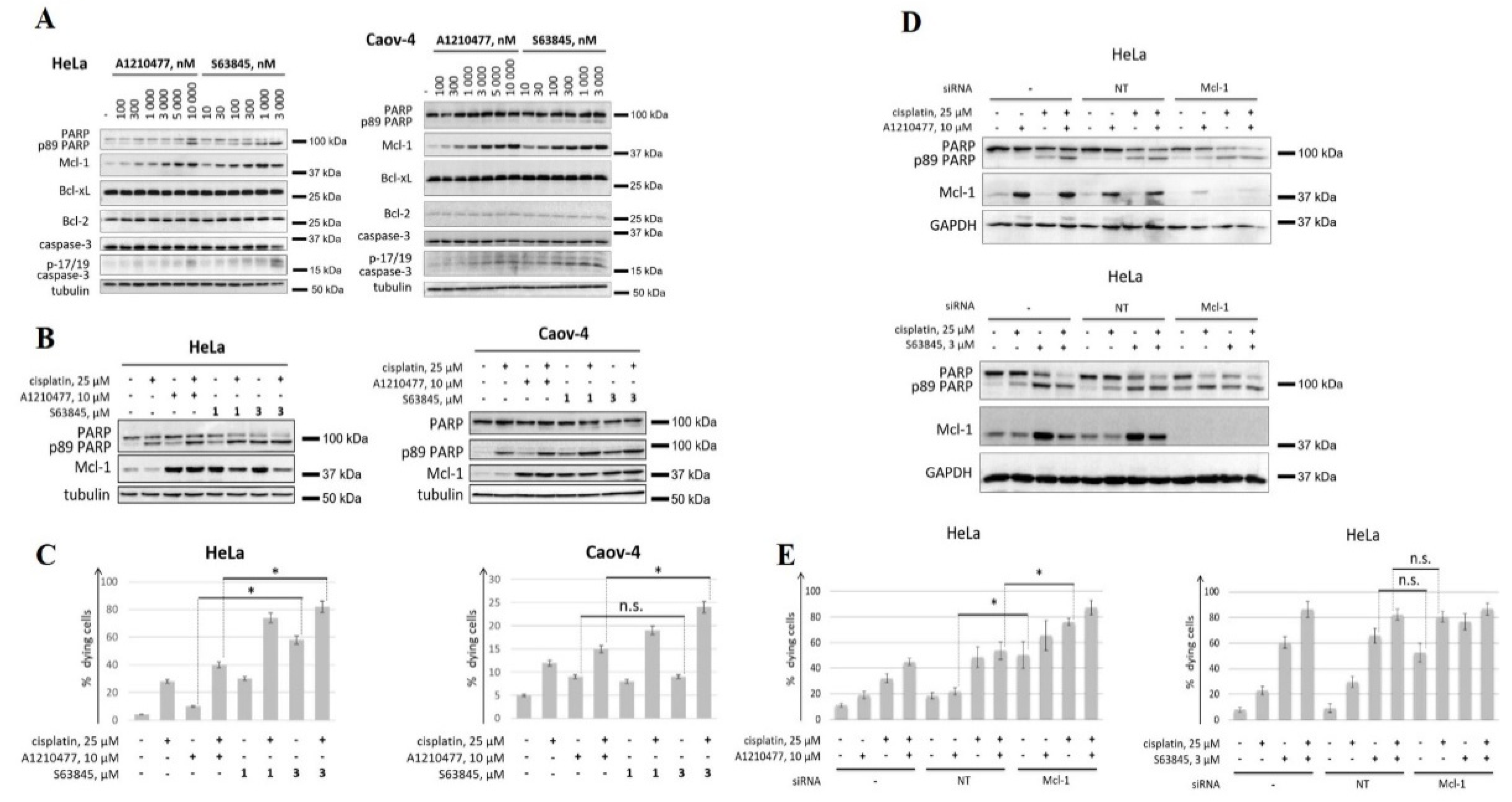 Cancers 14 00181 g001 550