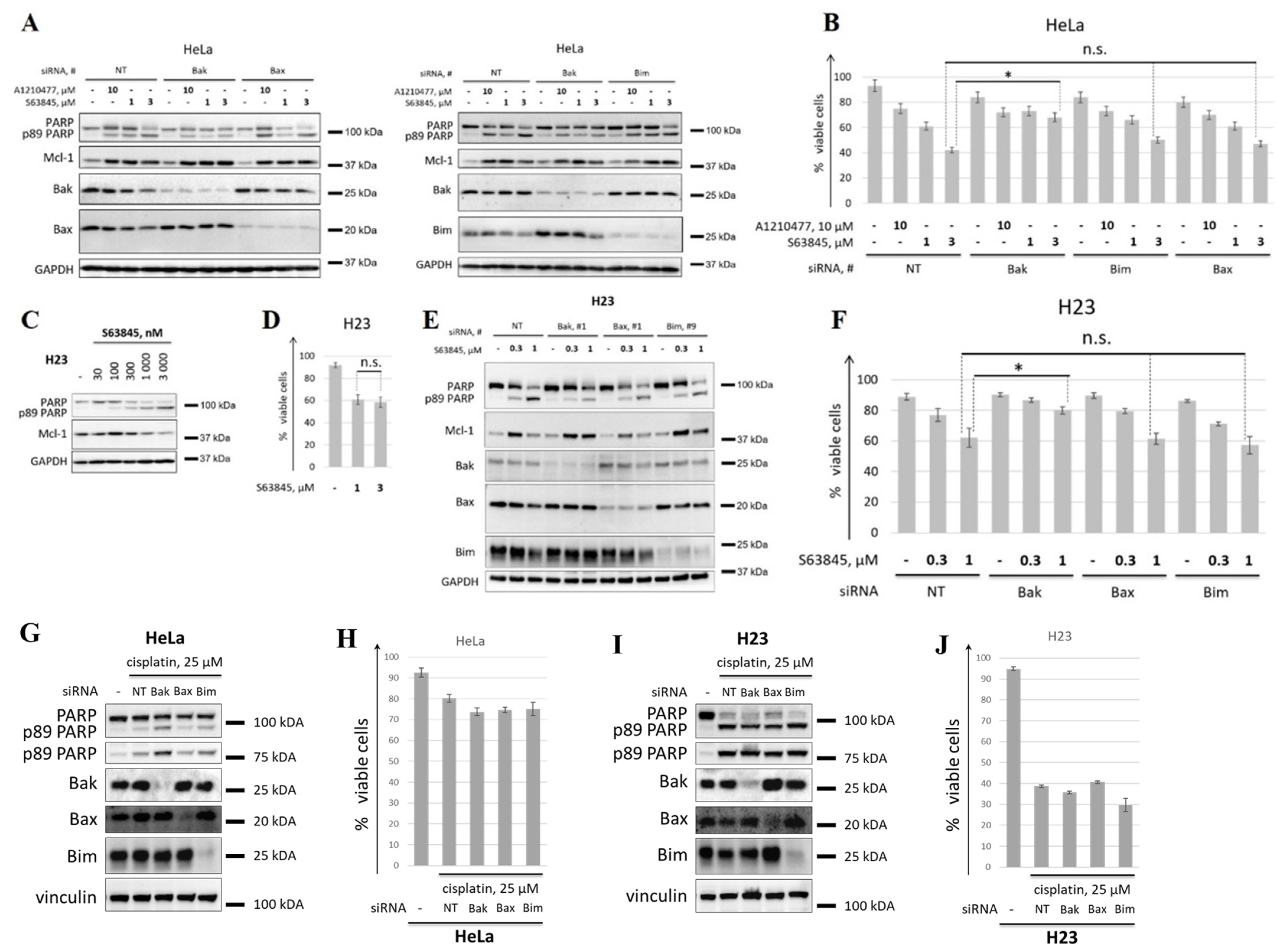 Cancers 14 00181 g002 550