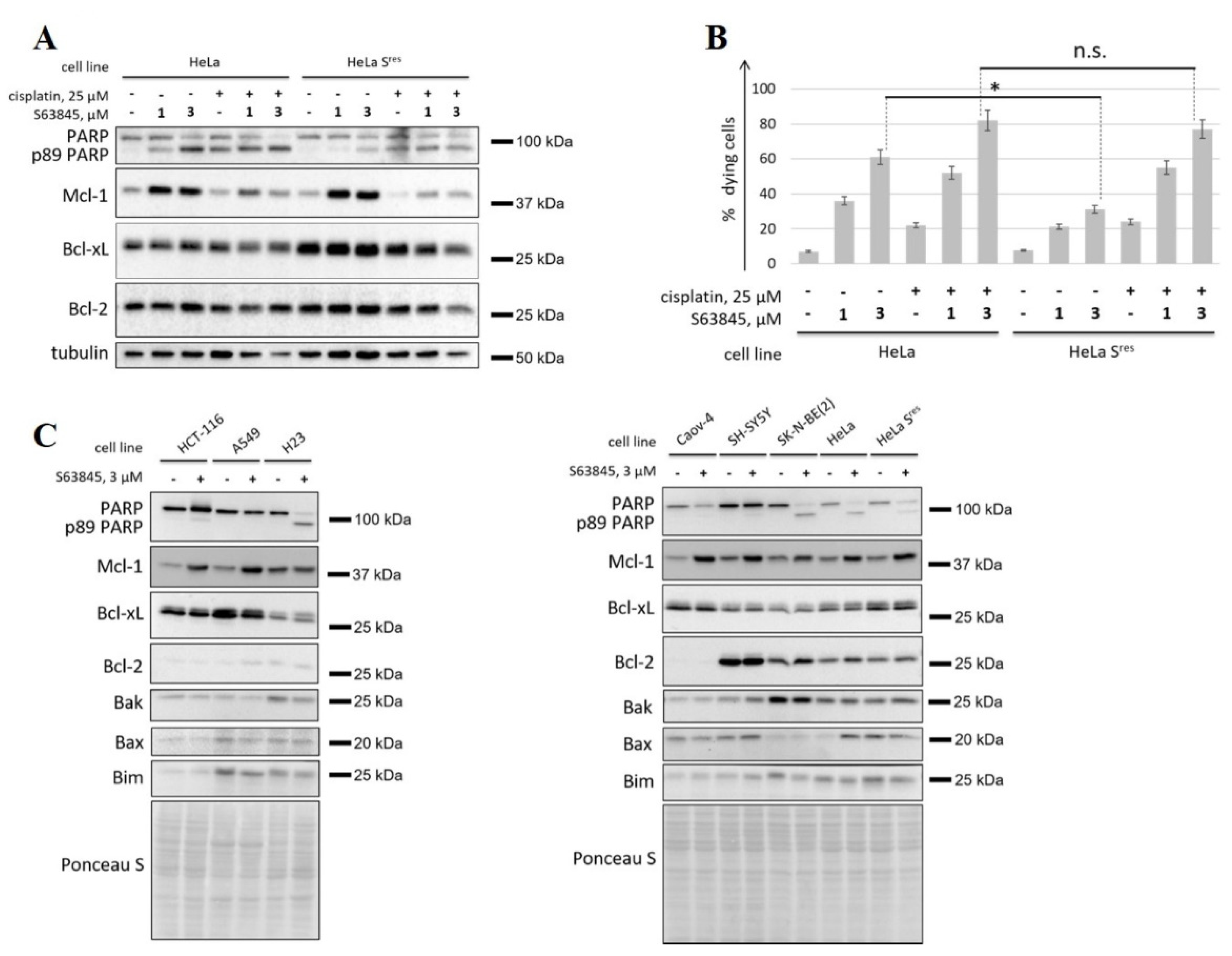 Cancers 14 00181 g003 550