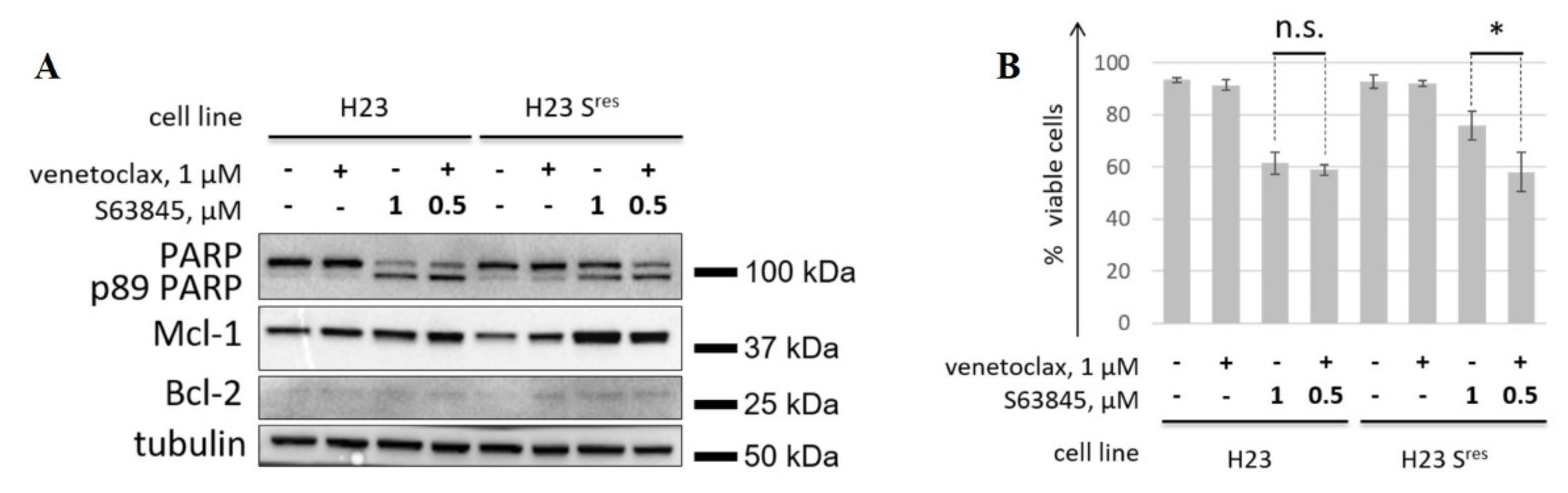 Cancers 14 00181 g004 550