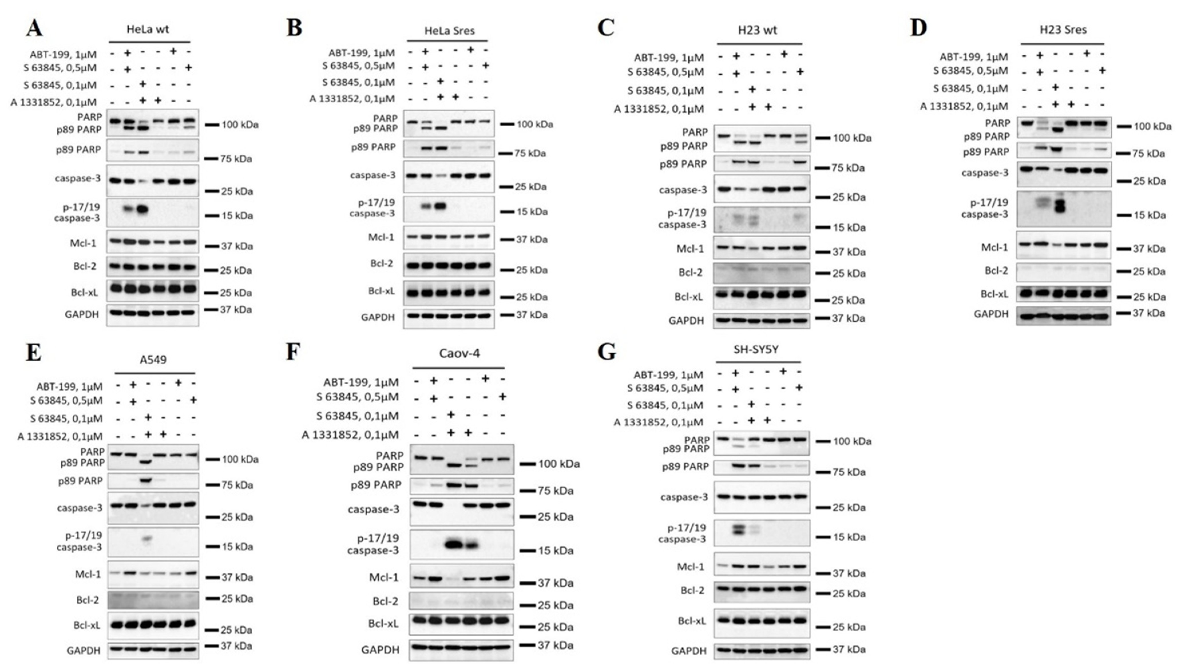 Cancers 14 00181 g005 550