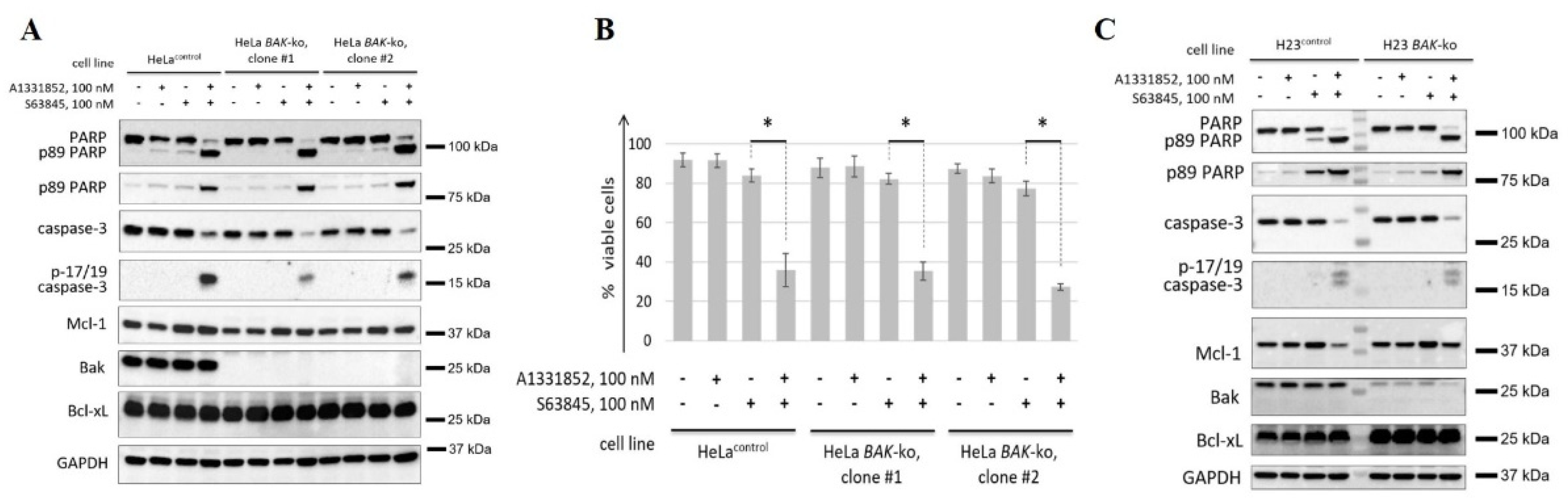 Cancers 14 00181 g006 550