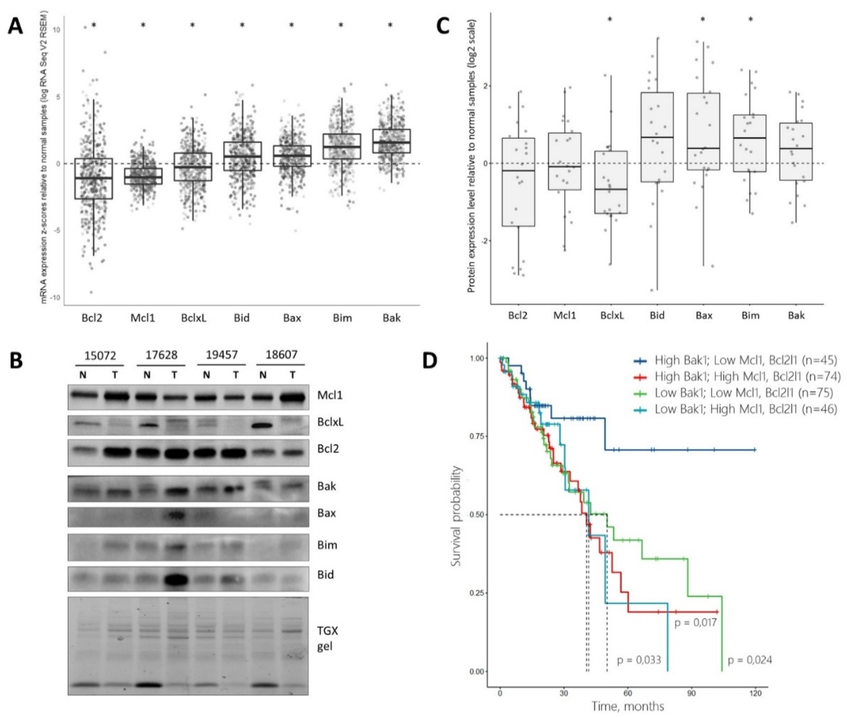 Cancers 14 00181 g007 550