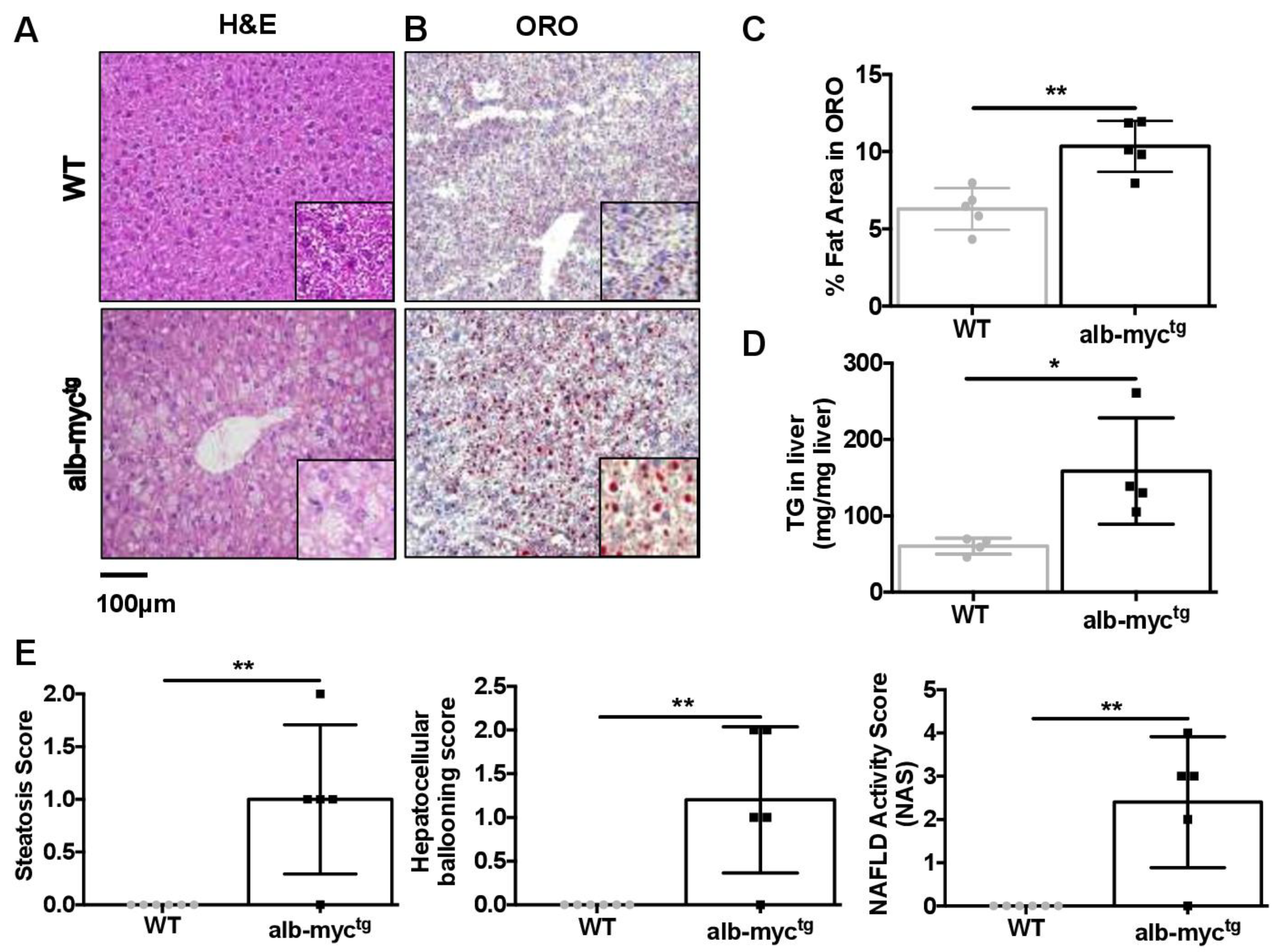 Cancers 14 00192 g003