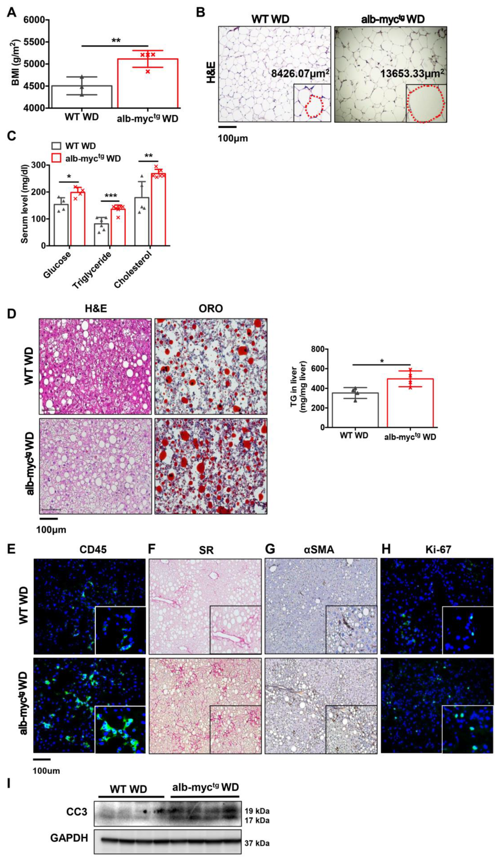Cancers 14 00192 g005
