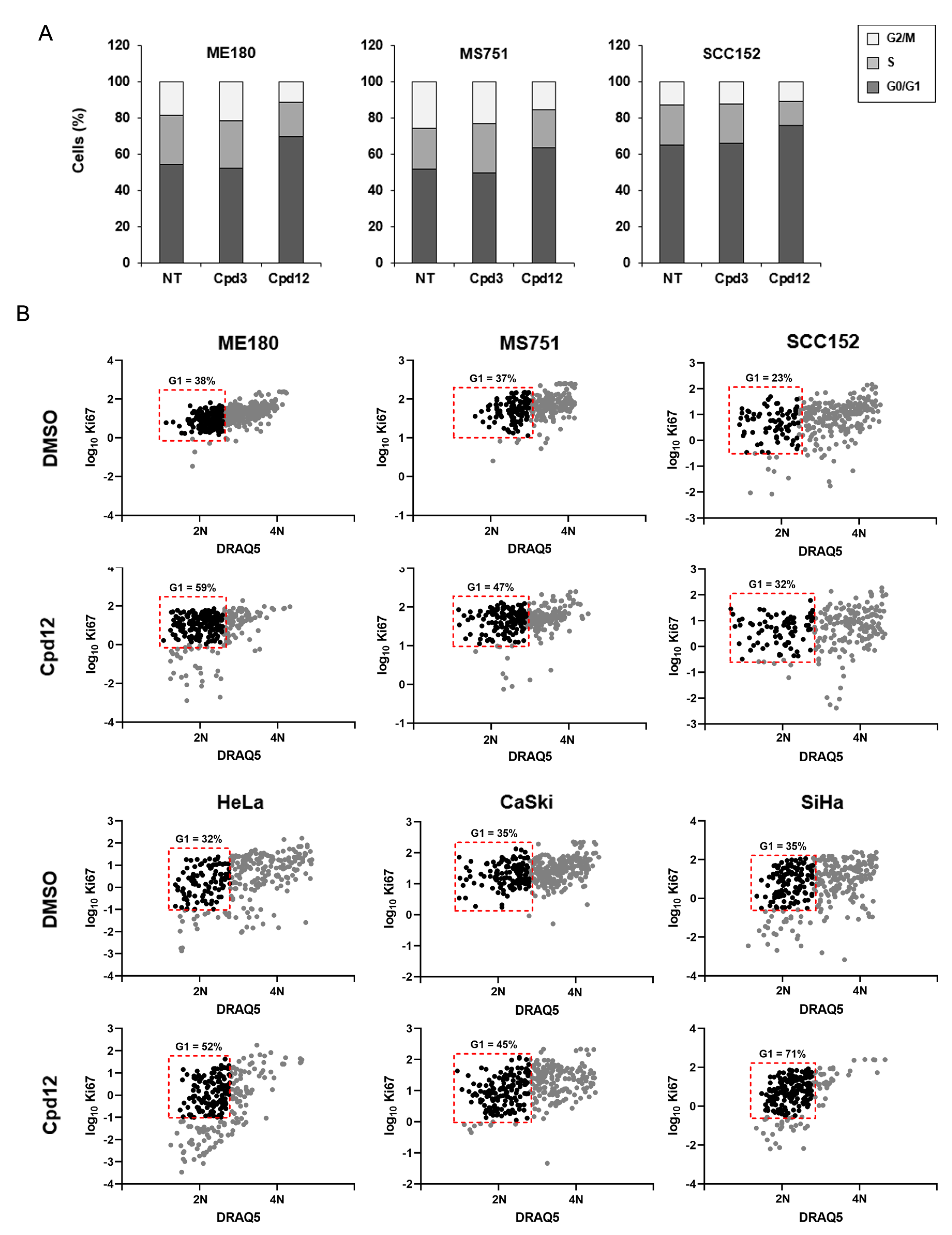Cancers 14 00193 g002