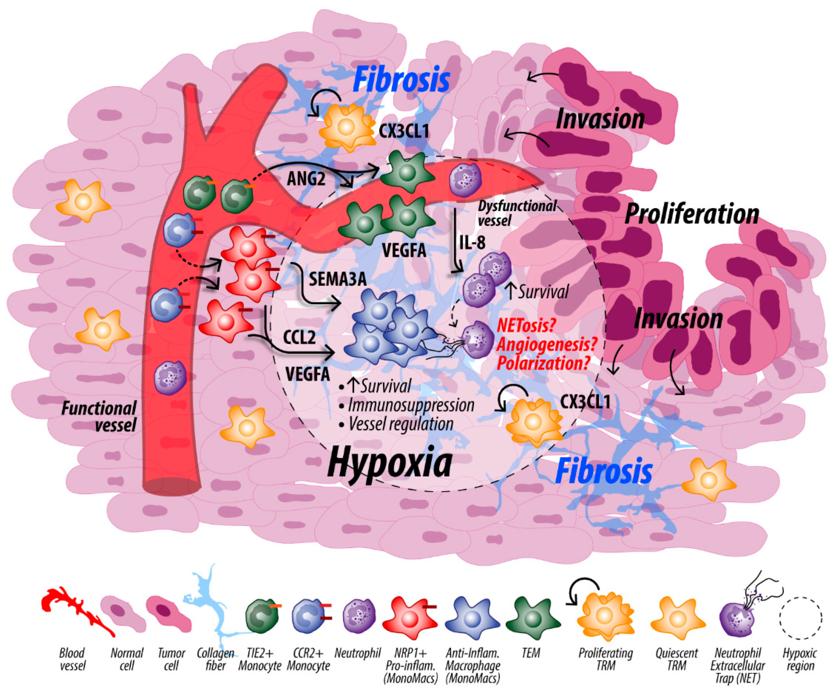 Cancers 14 00194 g002 Cancers 14 00194 g002