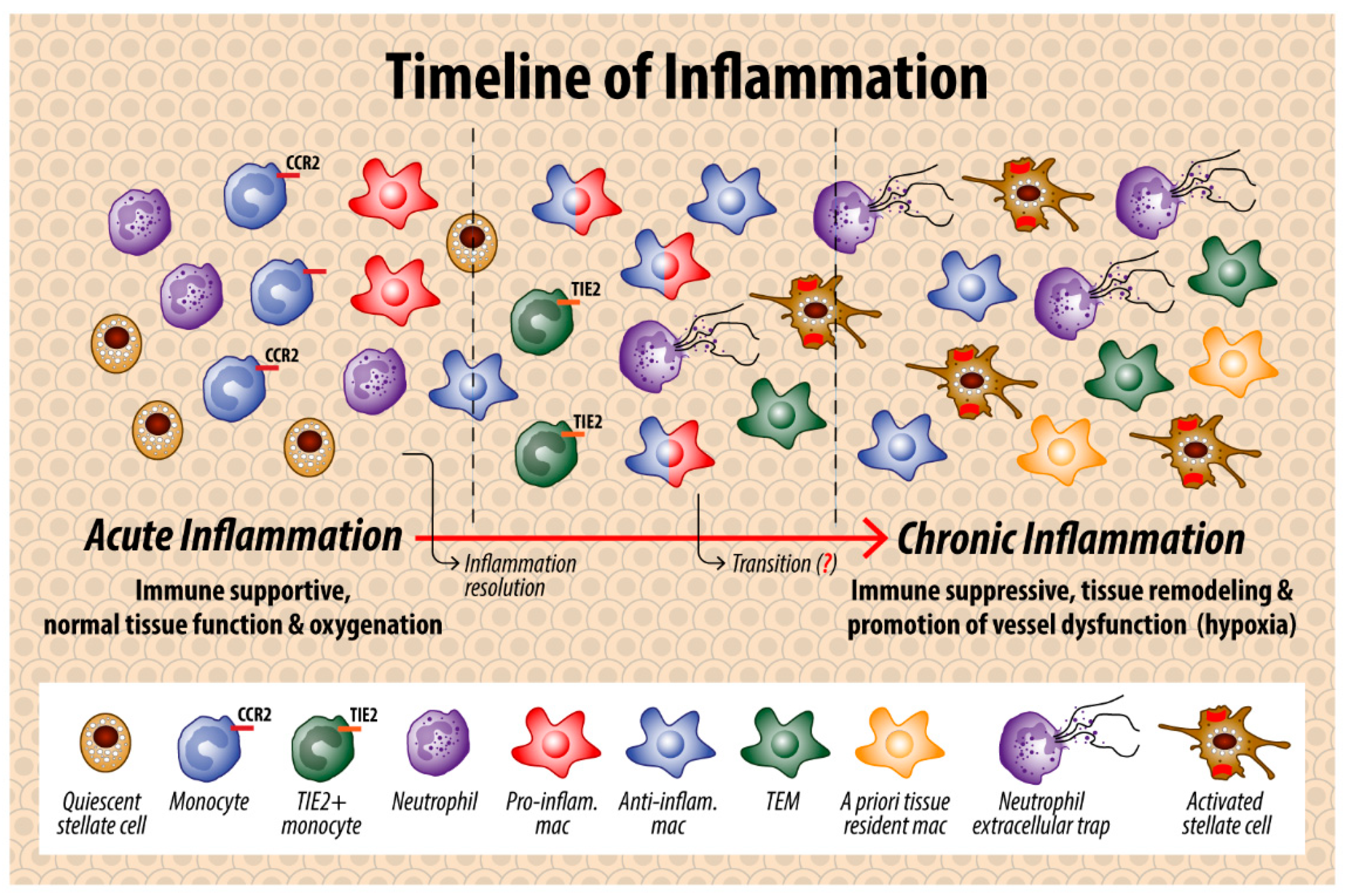 Cancers 14 00194 g003 Cancers 14 00194 g003