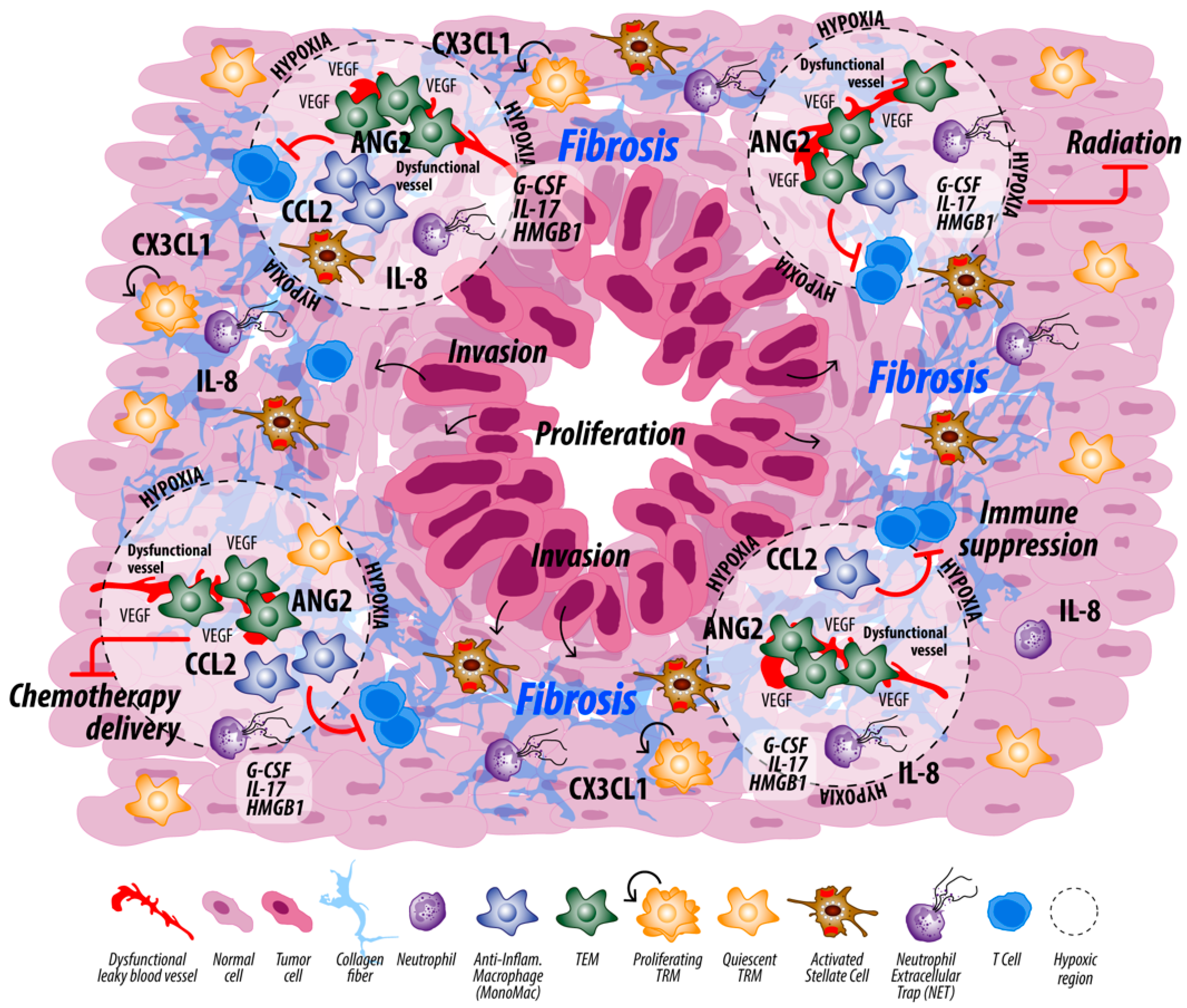 Cancers 14 00194 g004 Cancers 14 00194 g004