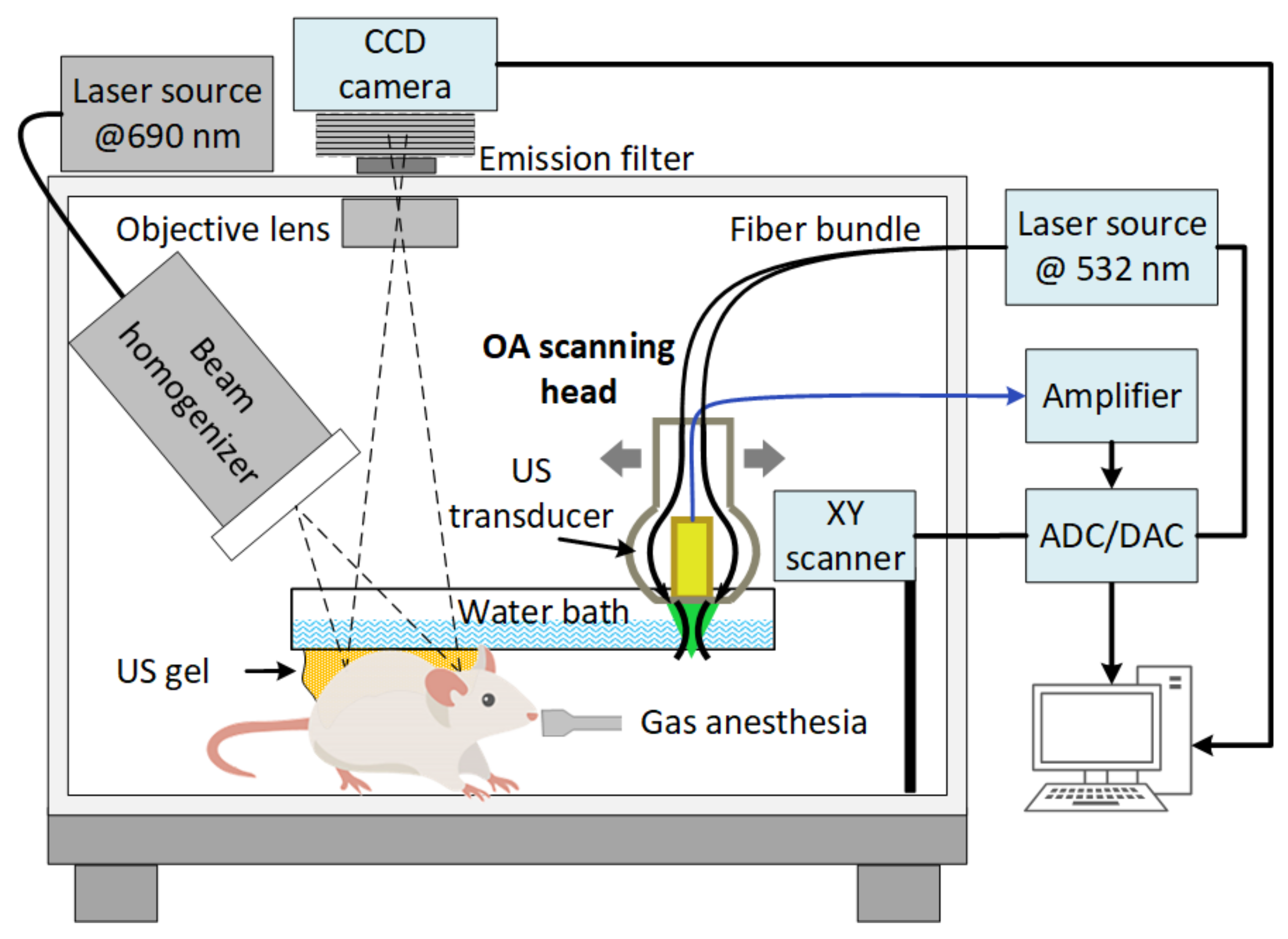 Cancers 14 00197 g001