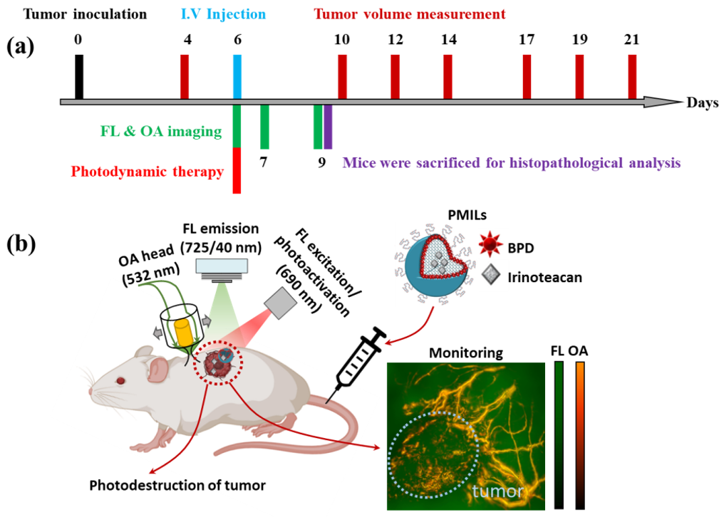 Cancers 14 00197 g002
