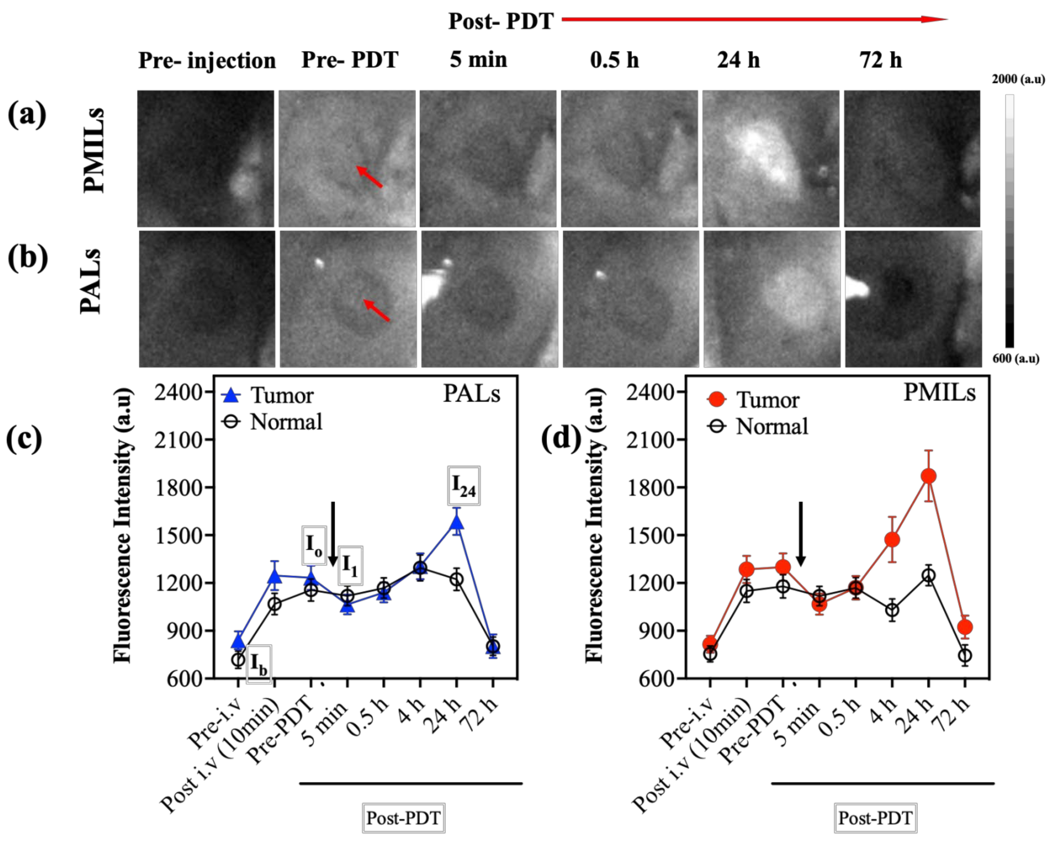 Cancers 14 00197 g004