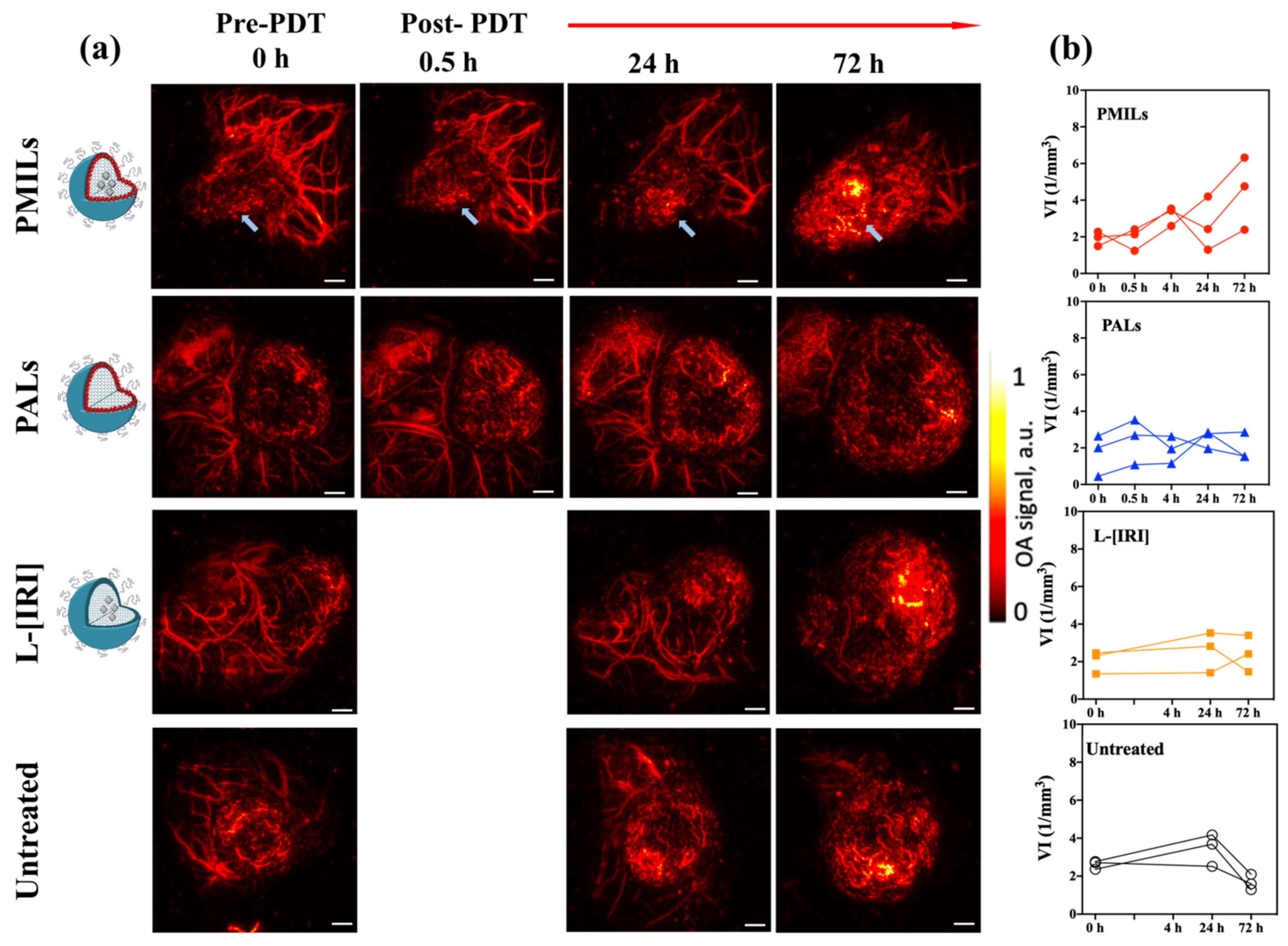 Cancers 14 00197 g005