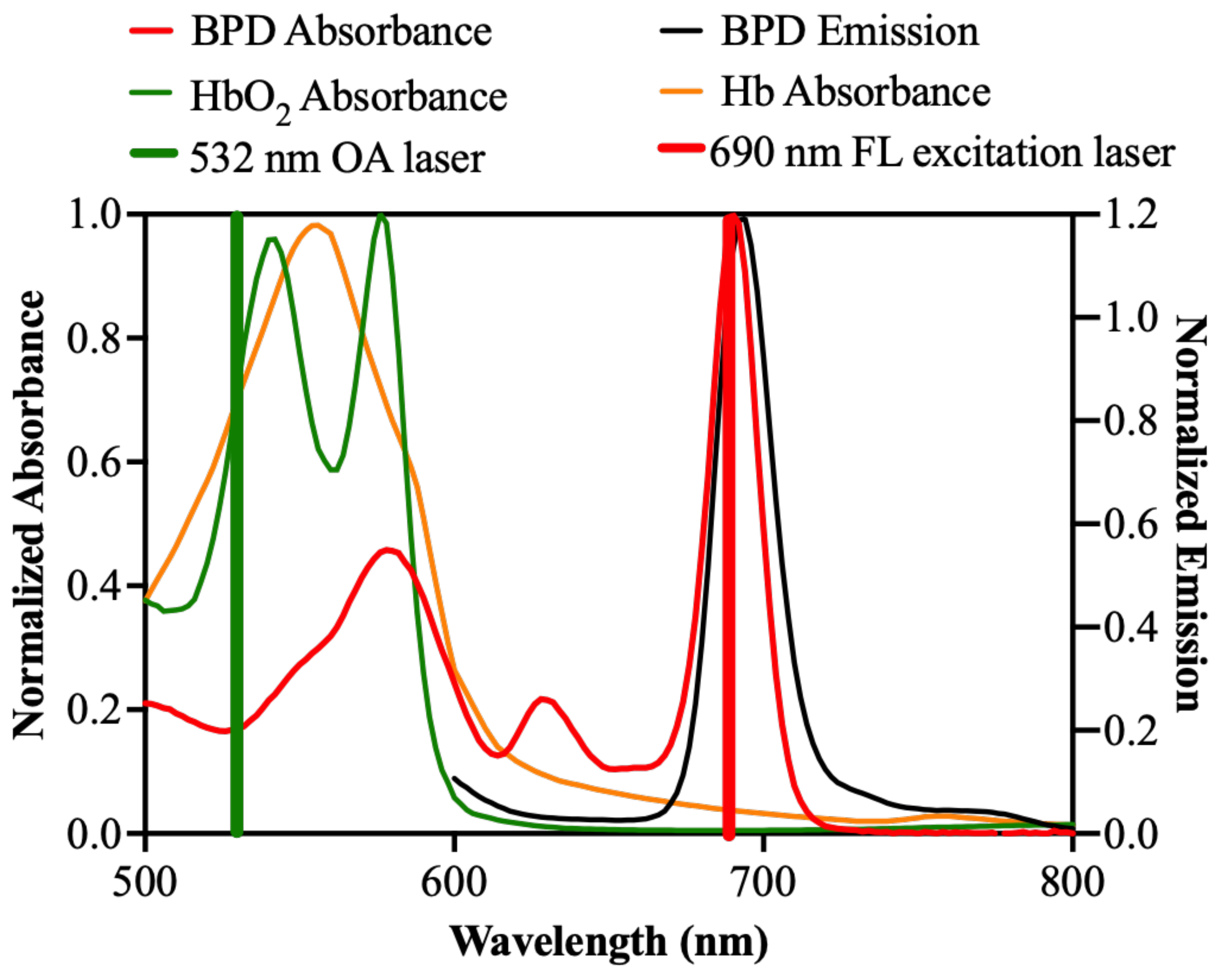 Cancers 14 00197 g0a1