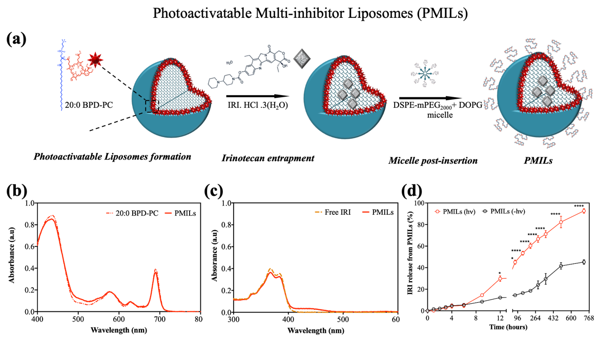 Cancers 14 00197 g0a2