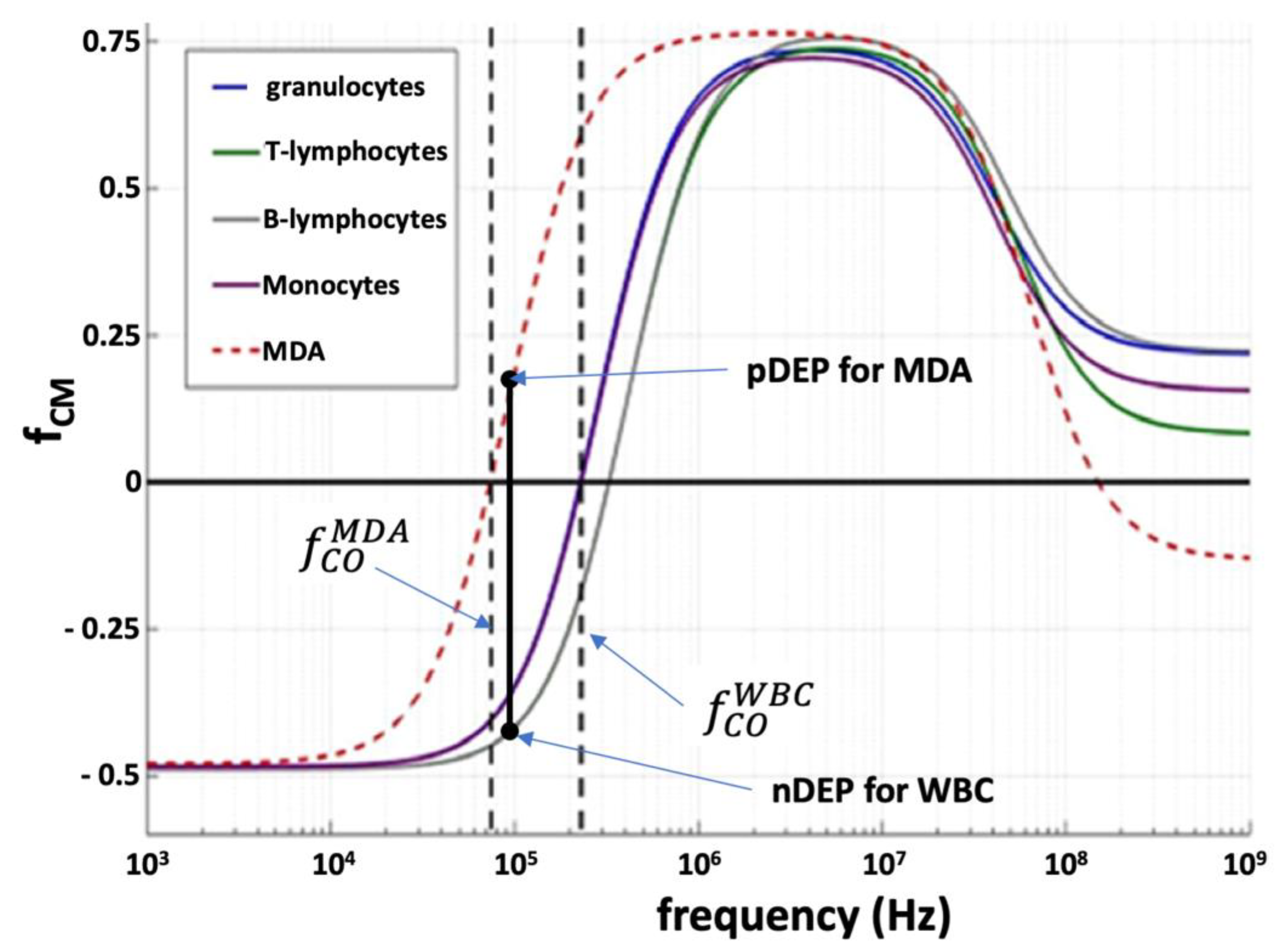 Cancers 14 00198 g002 Cancers 14 00198 g002