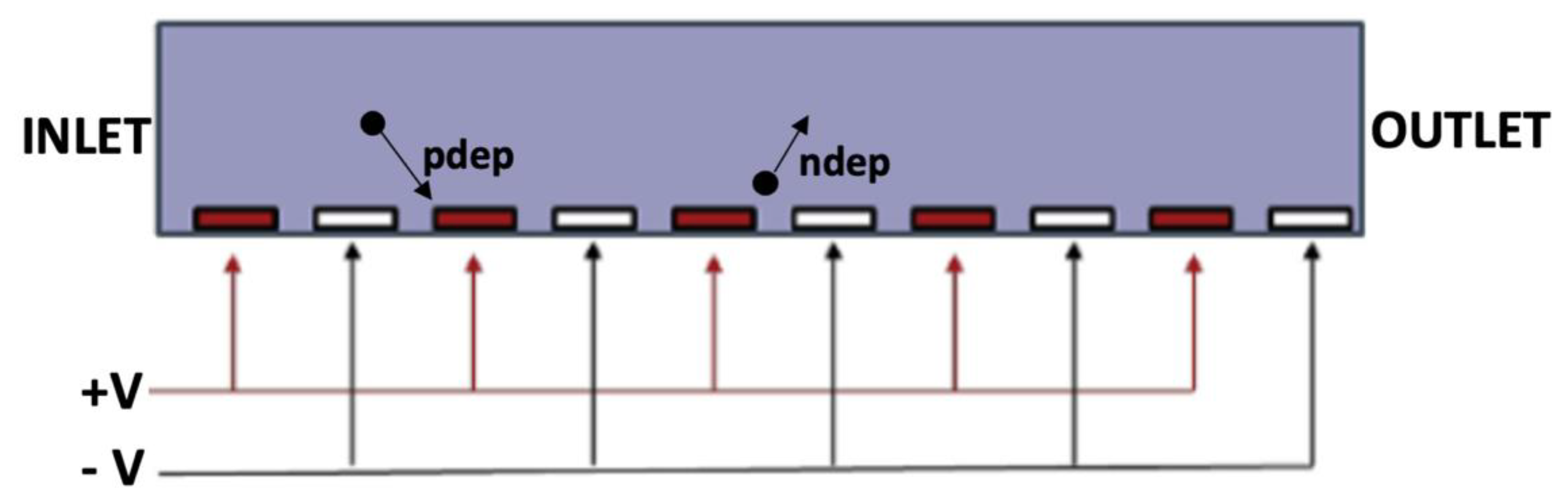 Cancers 14 00198 g004 Cancers 14 00198 g004