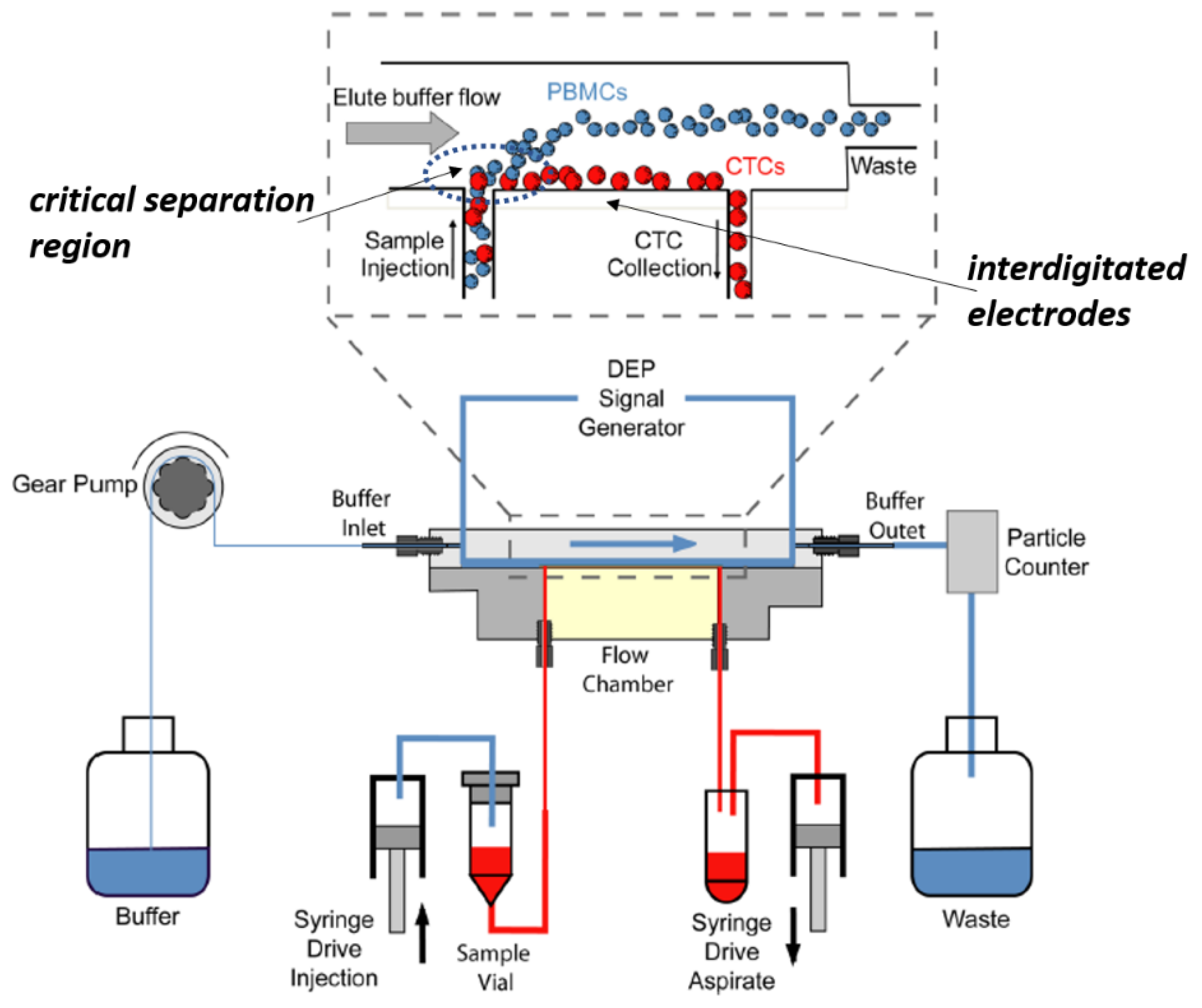 Cancers 14 00198 g005 Cancers 14 00198 g005