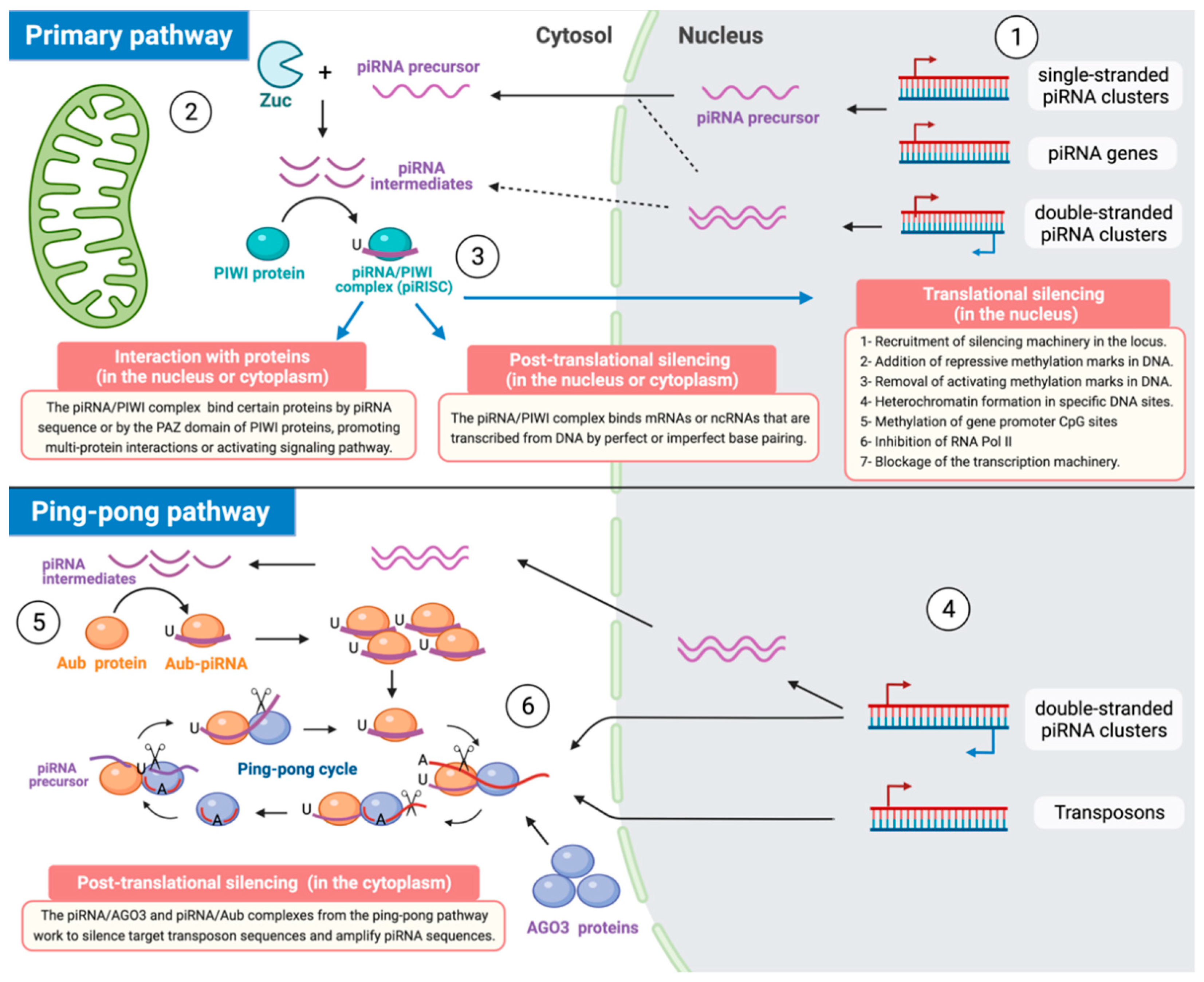 Cancers 14 00202 g001