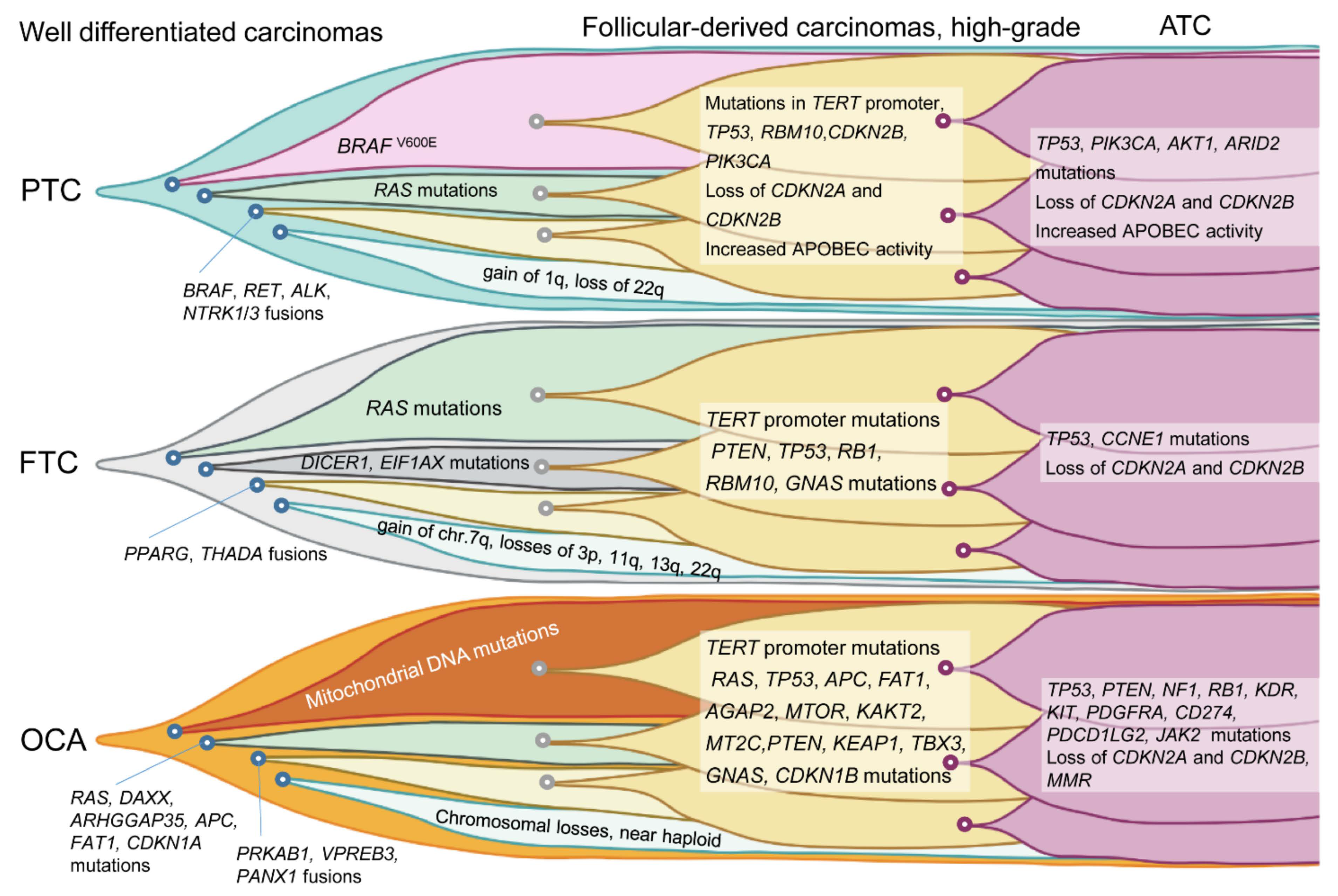 Cancers 14 00204 g002