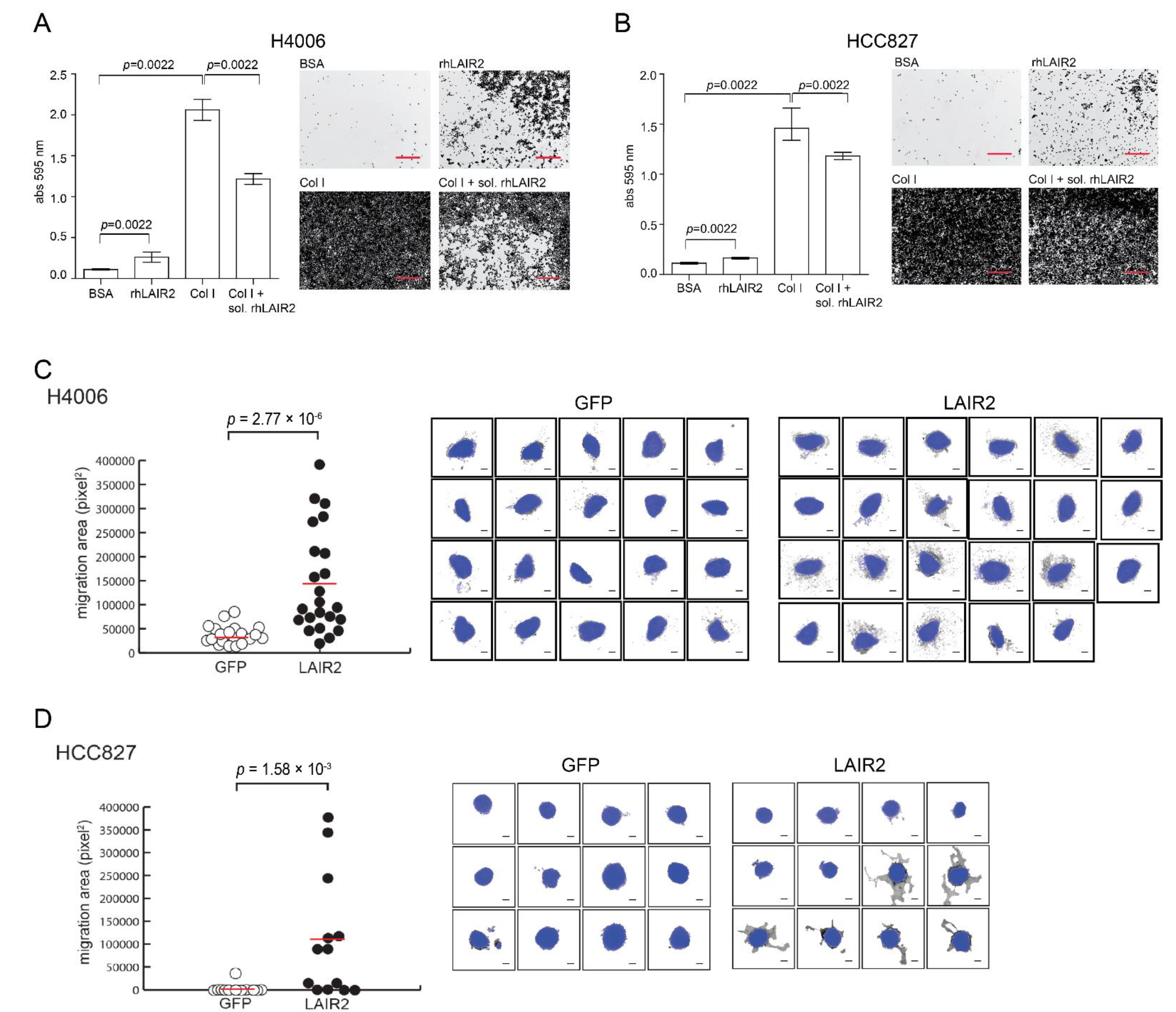 Cancers 14 00205 g003 550