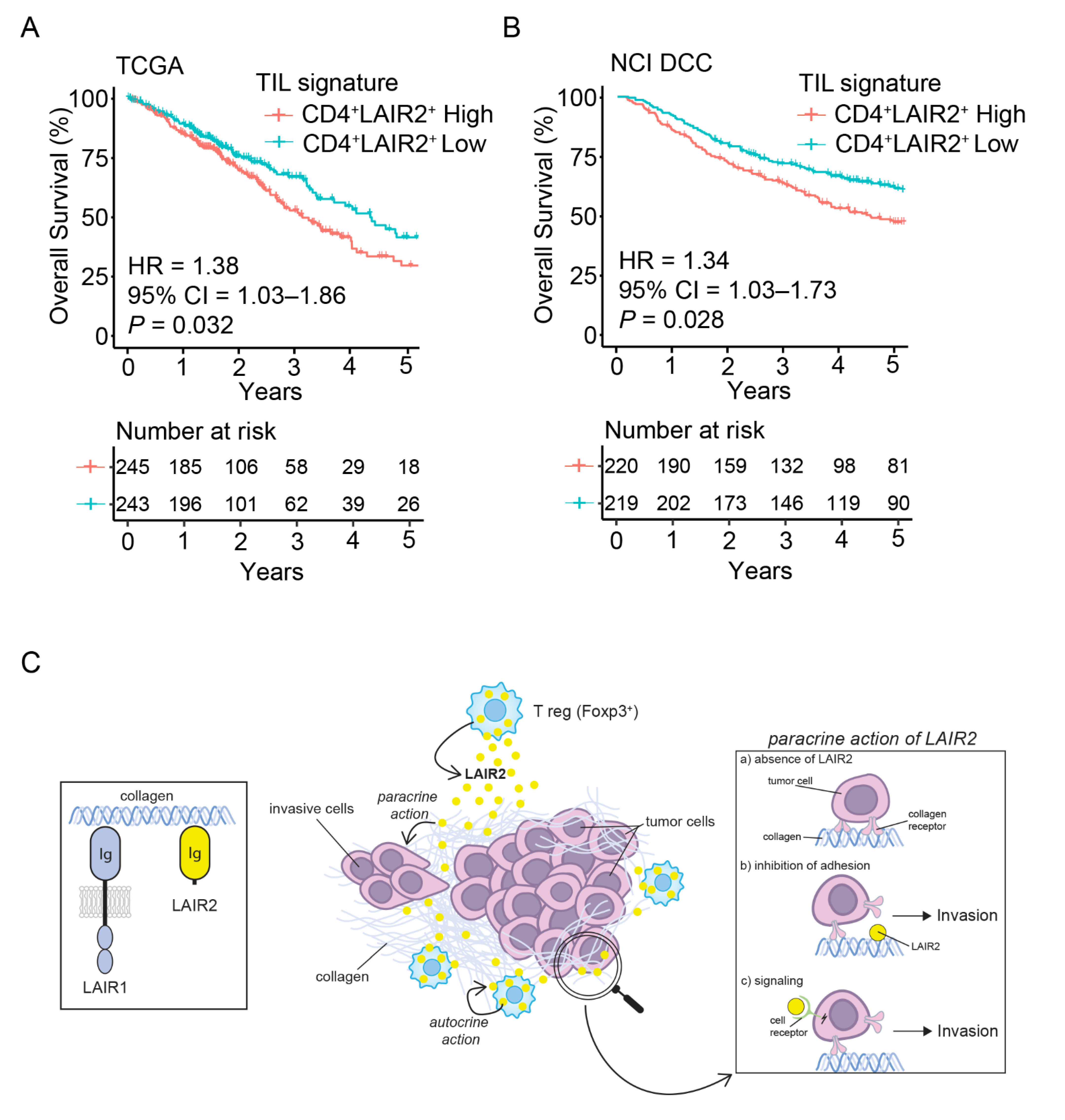 Cancers 14 00205 g005 550