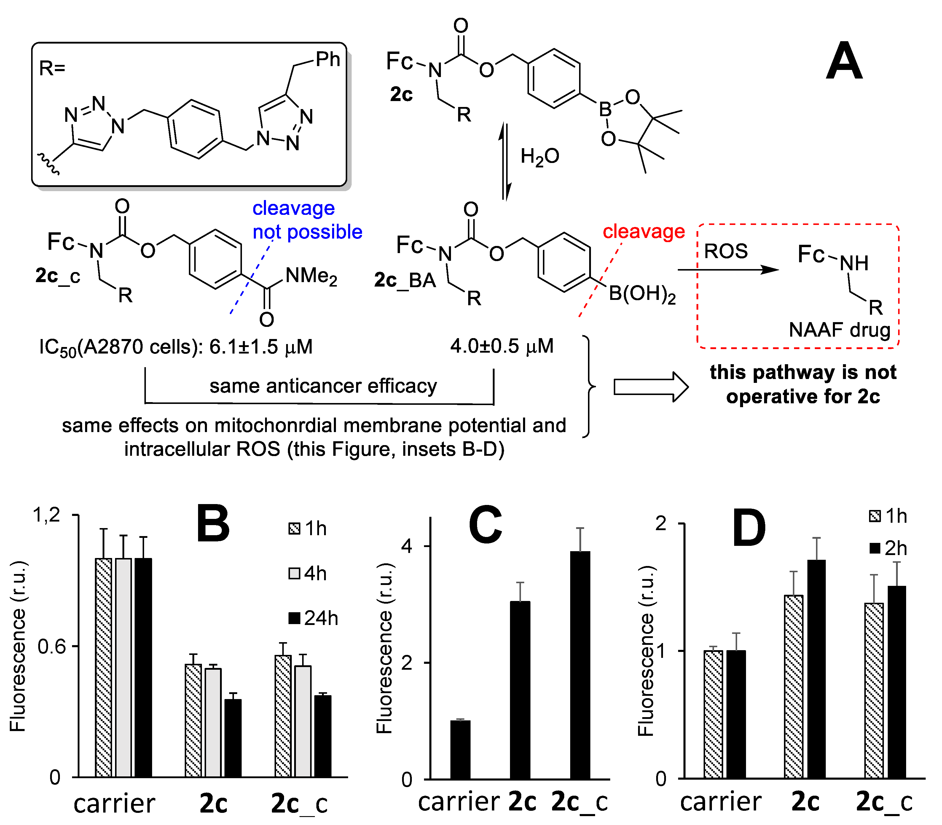Cancers 14 00208 g005 Cancers 14 00208 g005