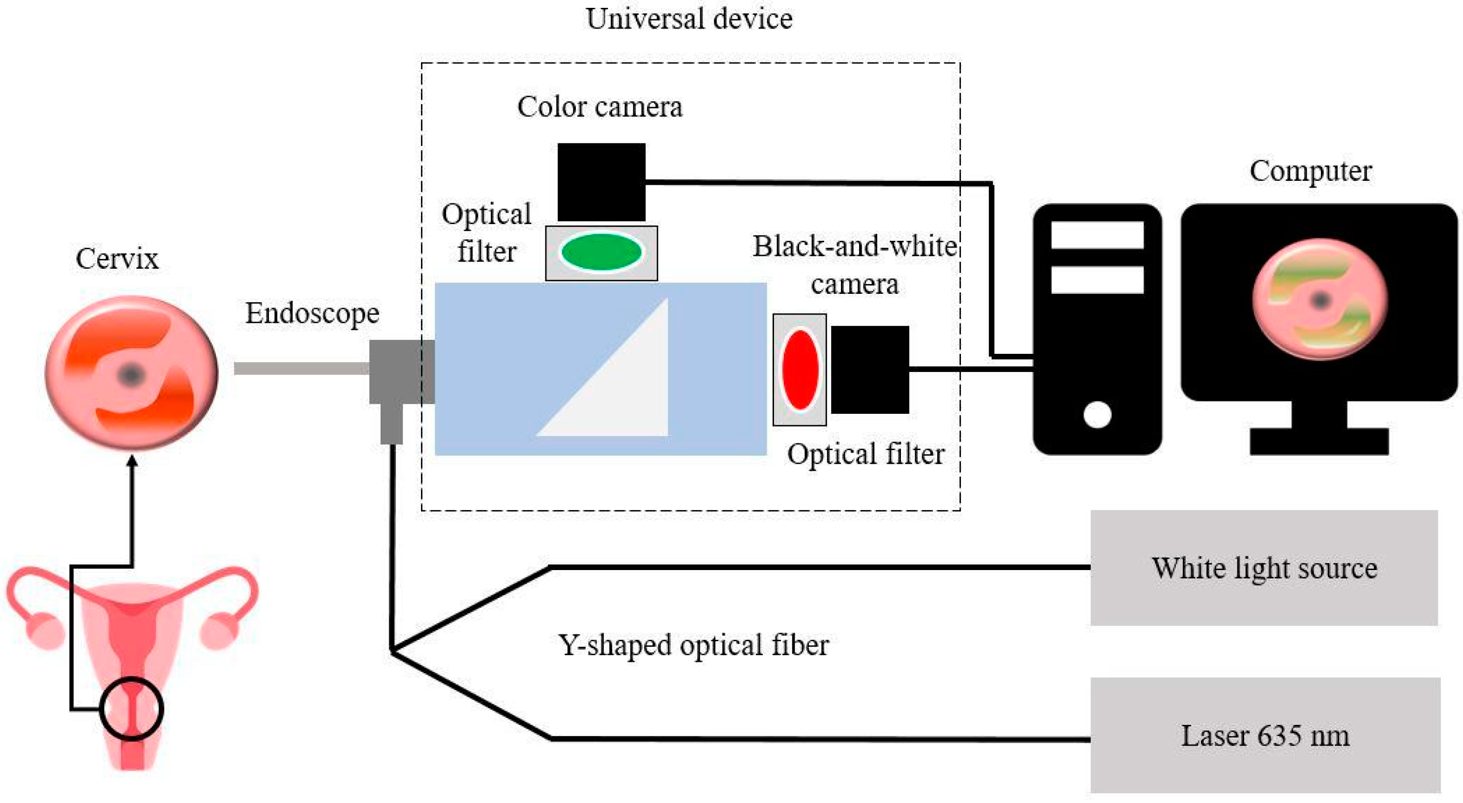 Cancers 14 00211 g001 550