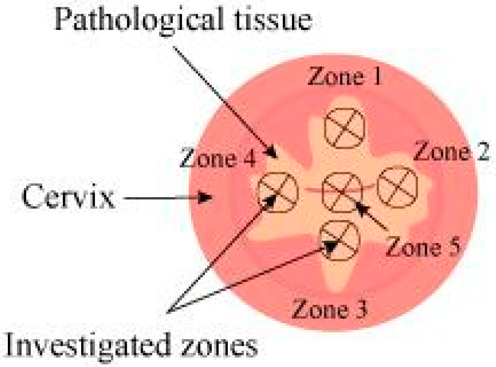 Cancers 14 00211 g002 550