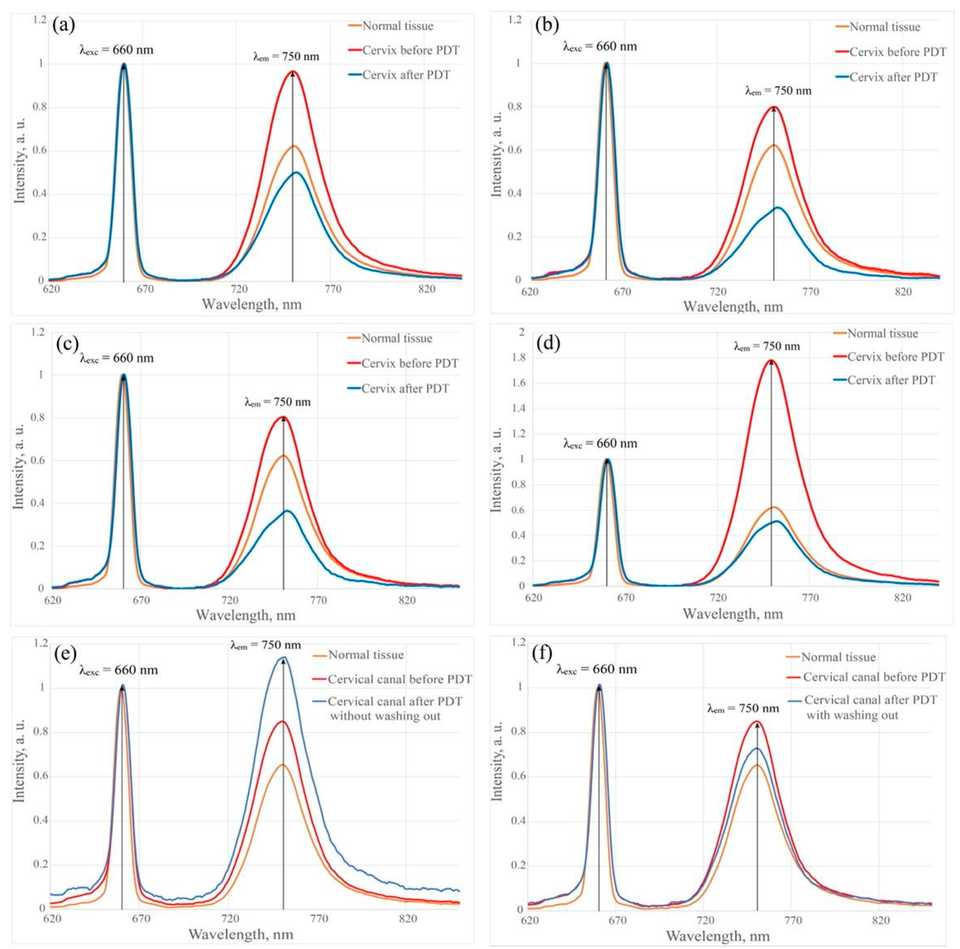 Cancers 14 00211 g005 550