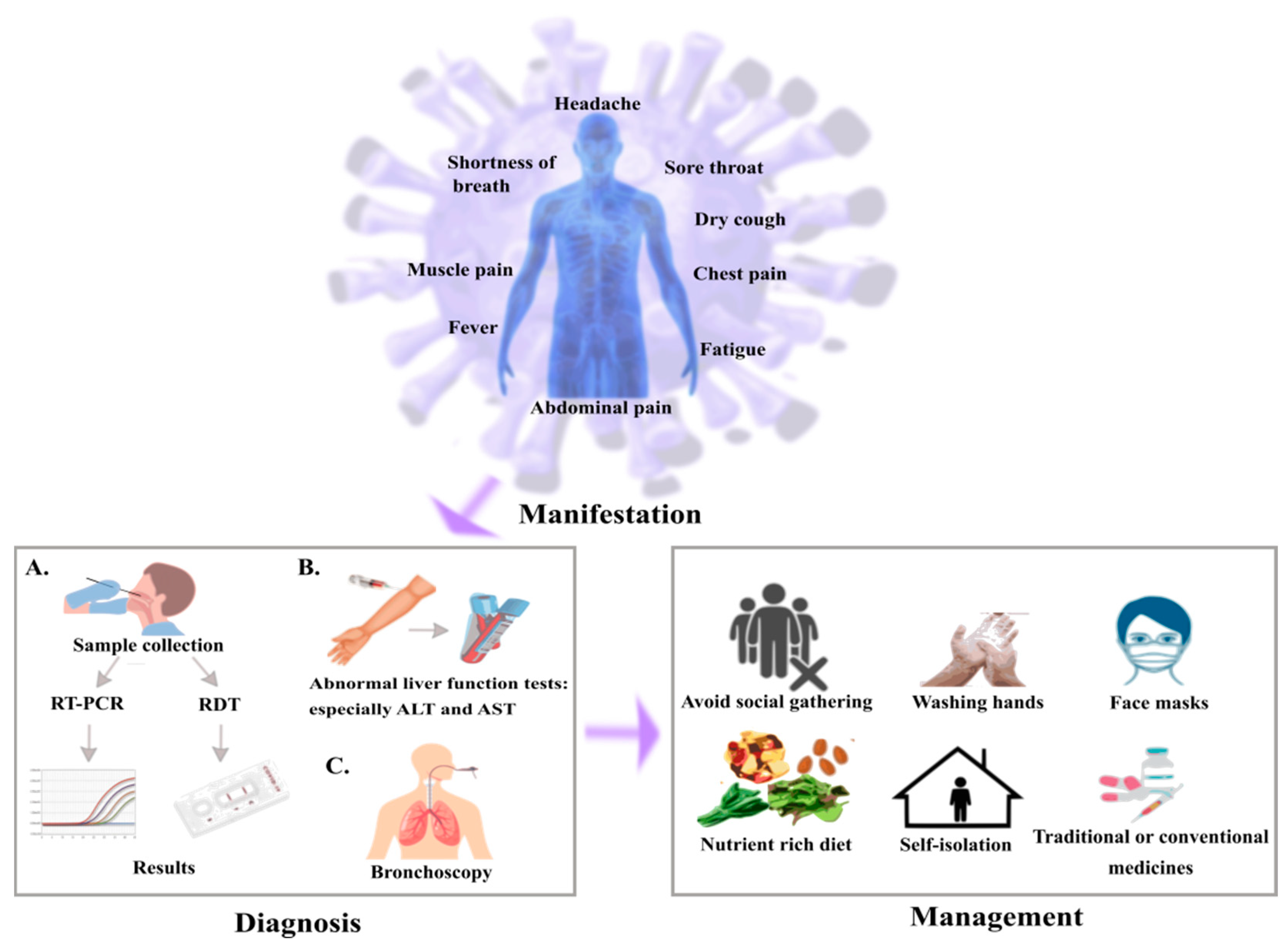 Cancers 14 00213 g002