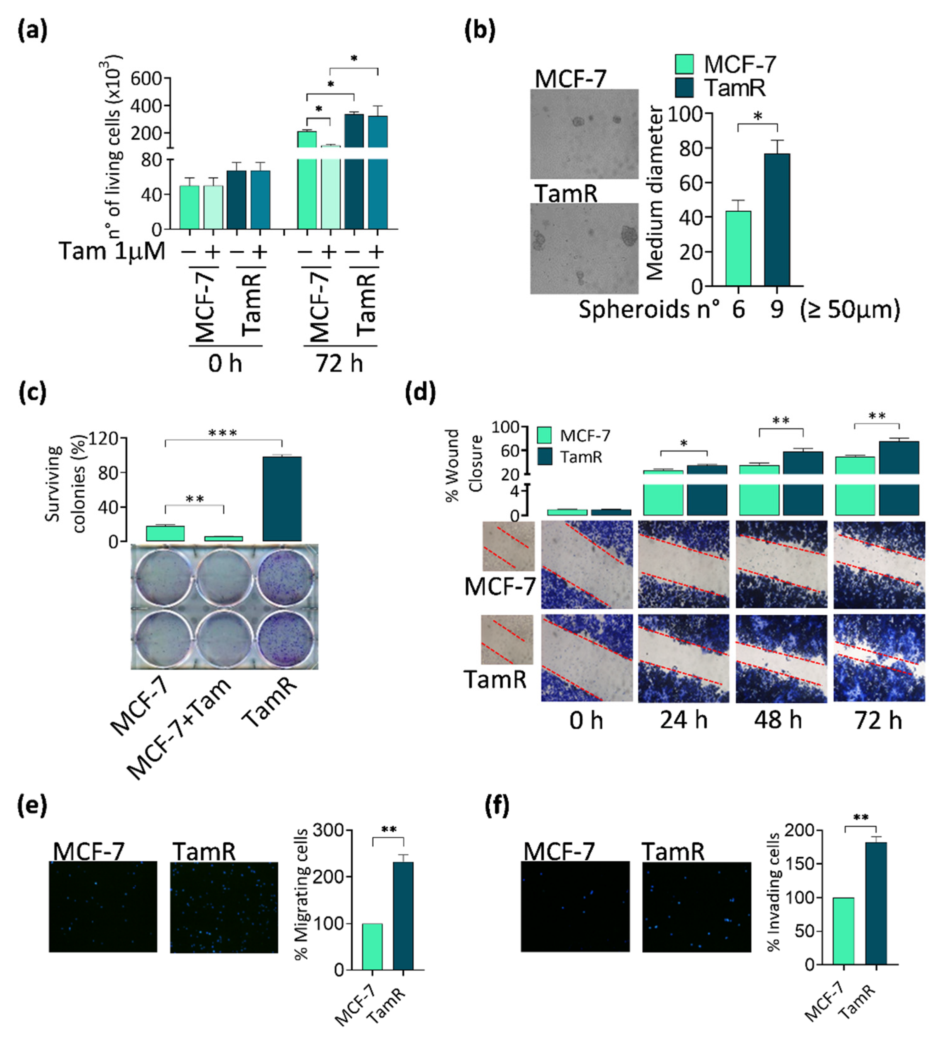 Cancers 14 00214 g001