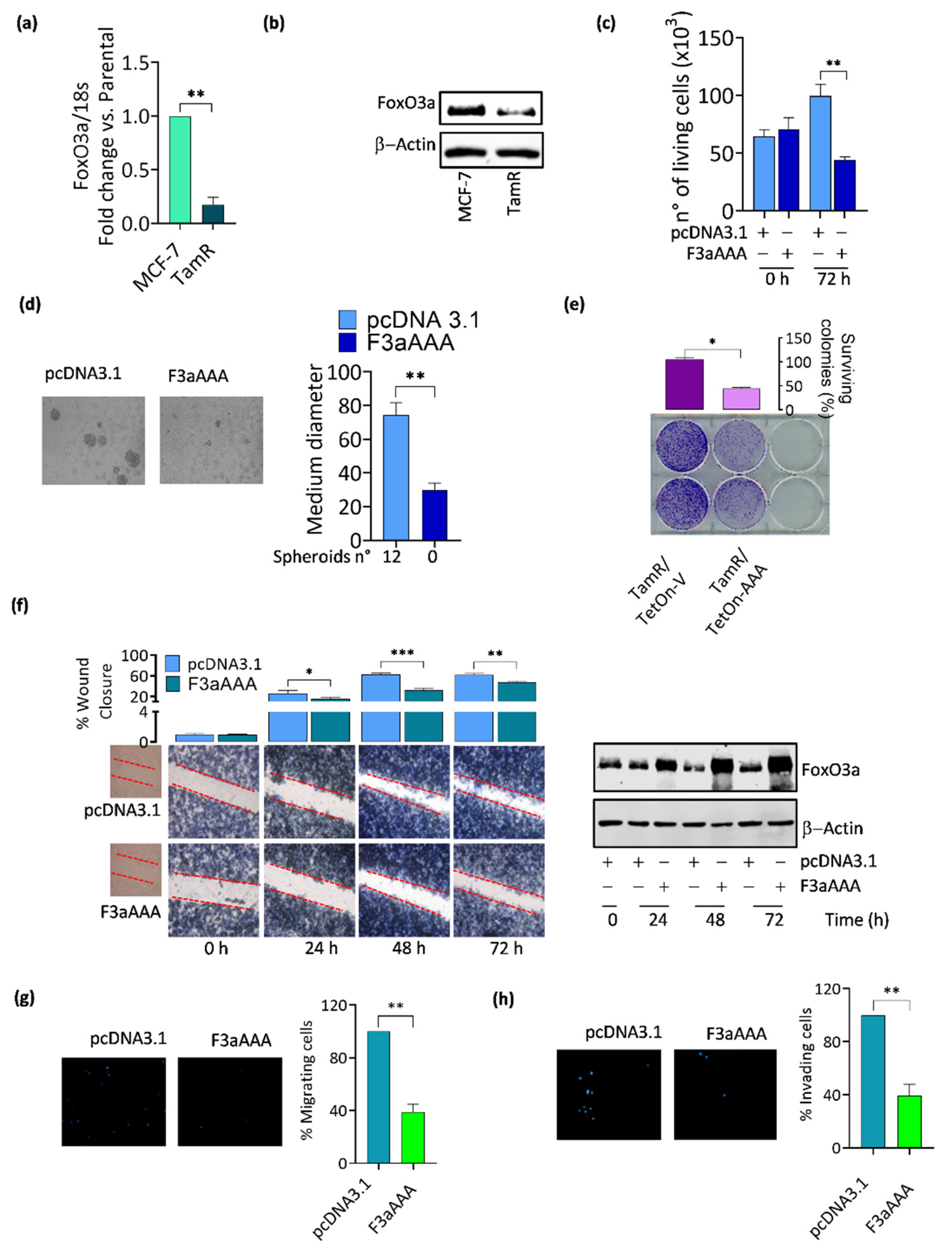 Cancers 14 00214 g002
