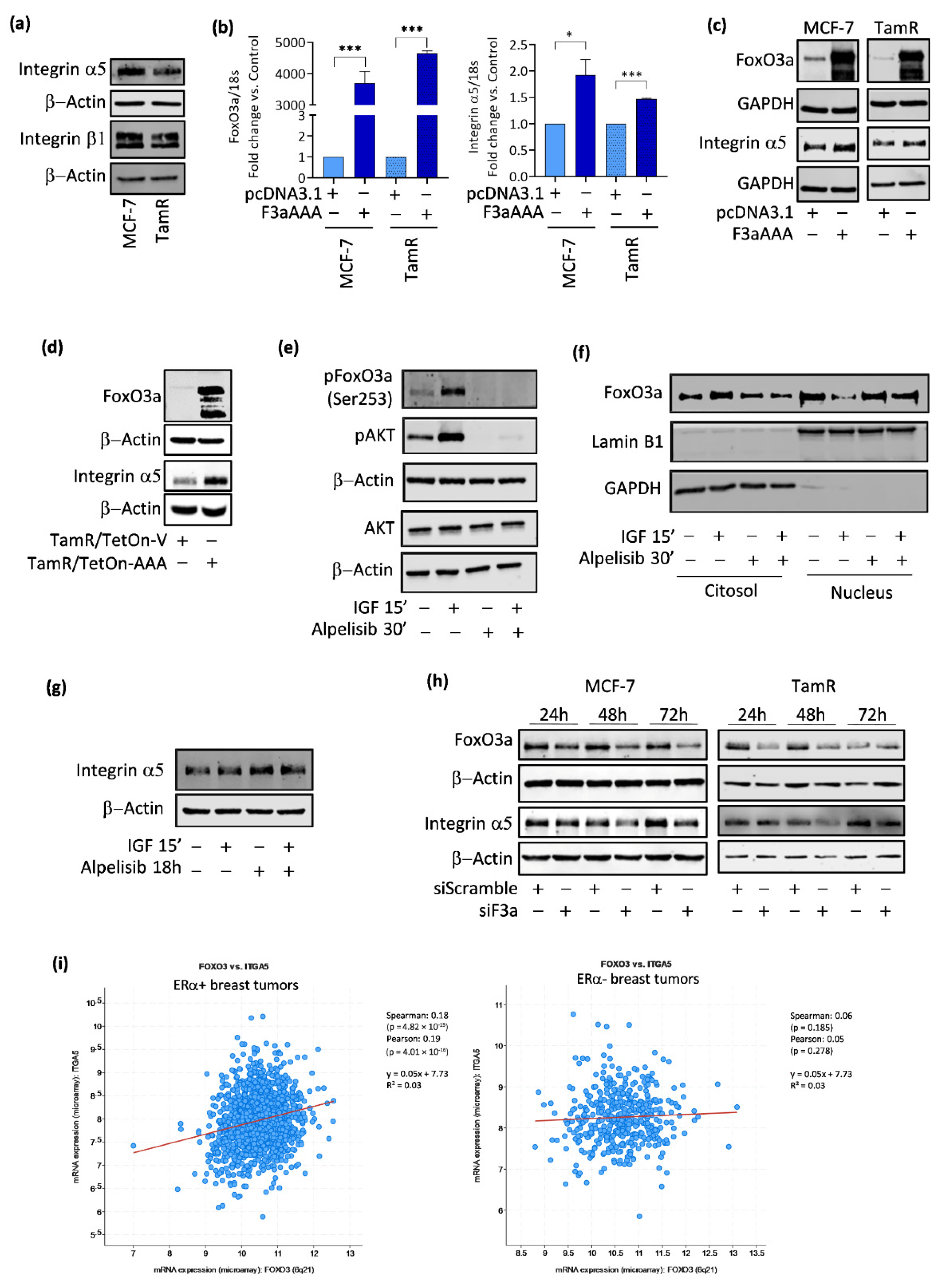Cancers 14 00214 g003