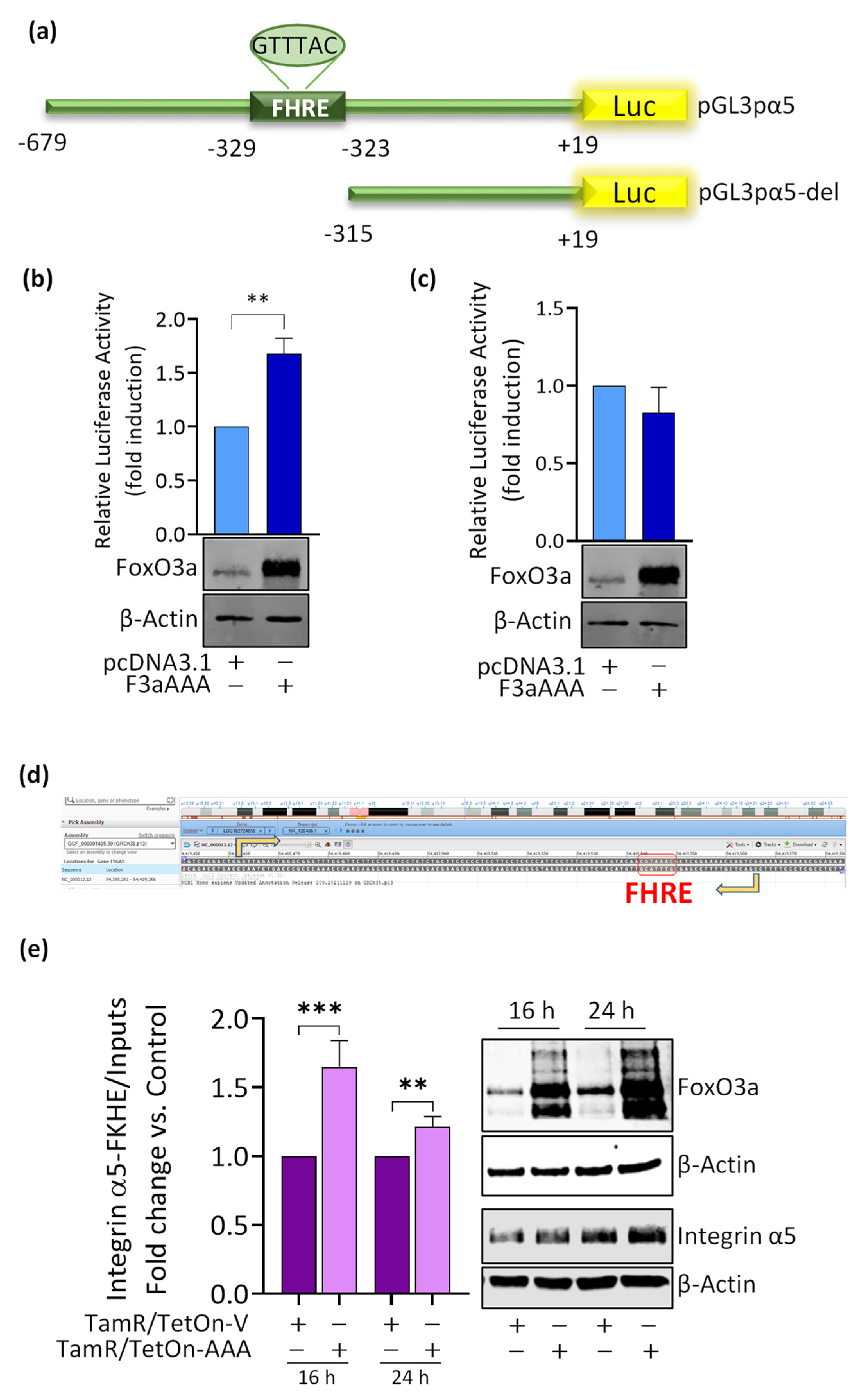 Cancers 14 00214 g004