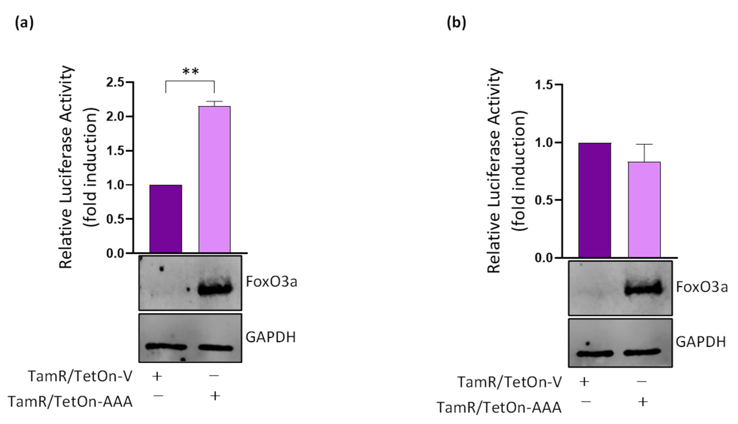 Cancers 14 00214 g0a3