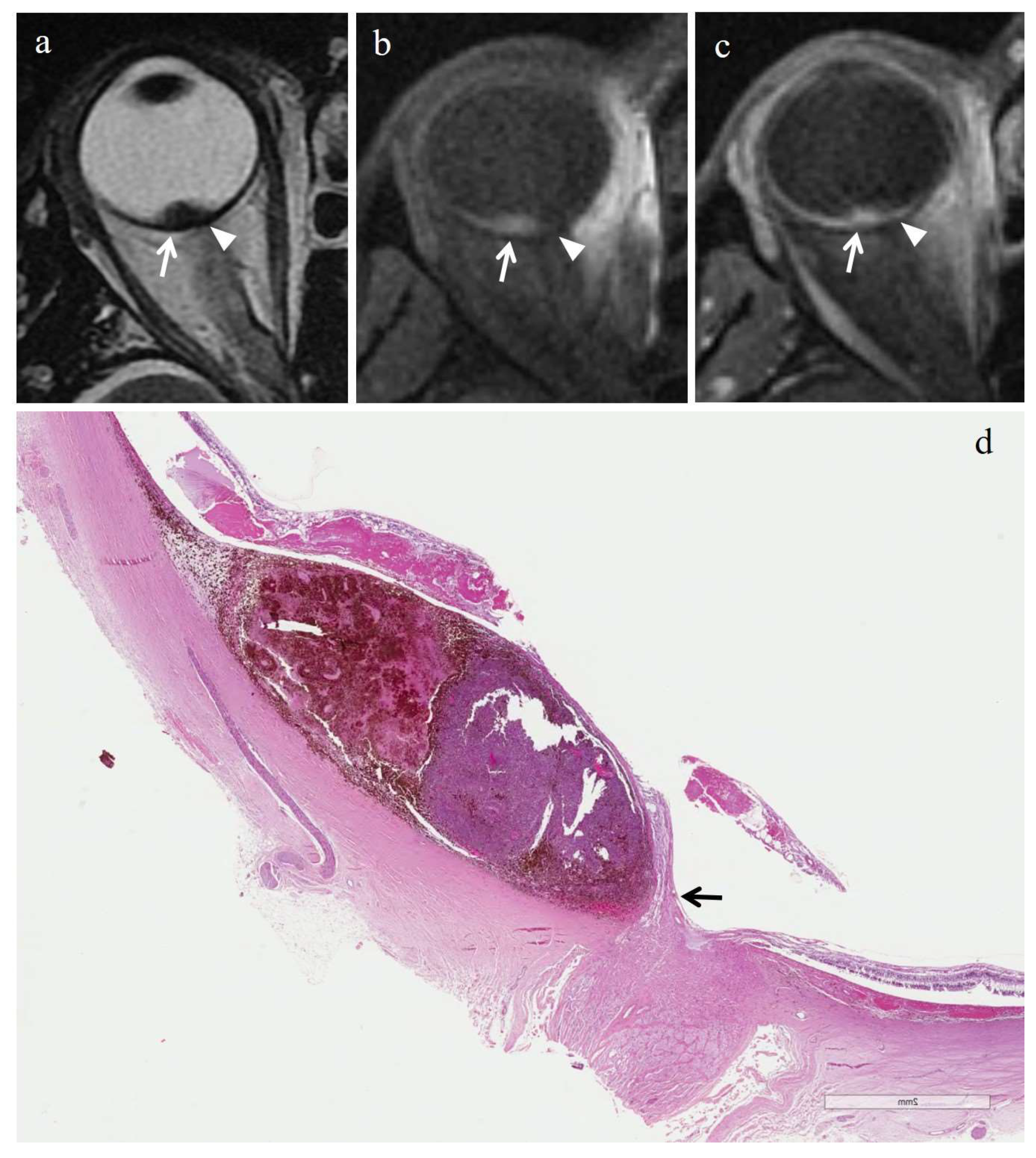 Cancers 14 00215 g003 550